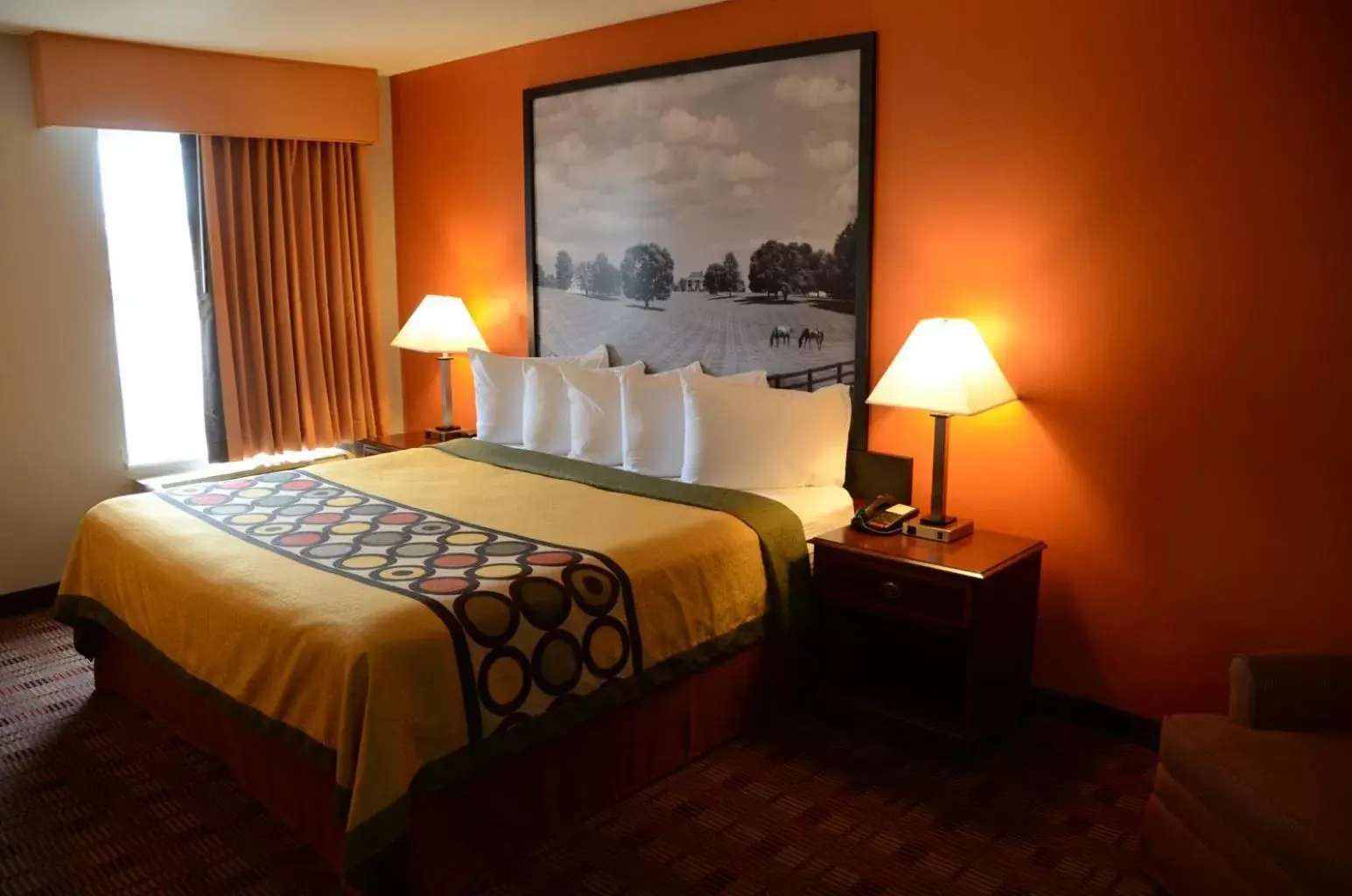 Bed in Super 8 by Wyndham Louisville/Expo Center