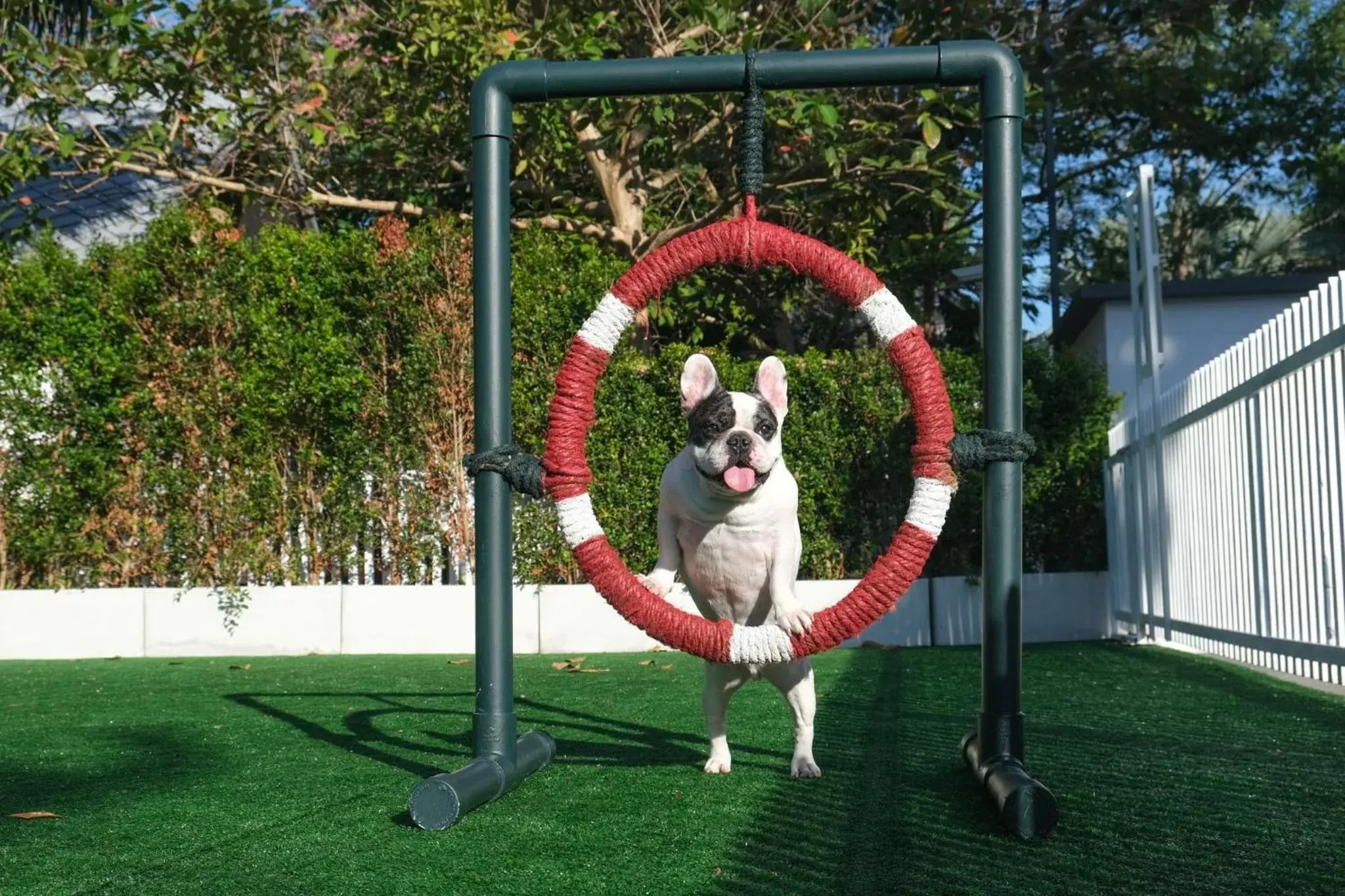 Villa - Pet Friendly in Long Beach Garden Hotel & Pavilions Villa - Pet Friendly in Long Beach Garden Hotel & Pavilions