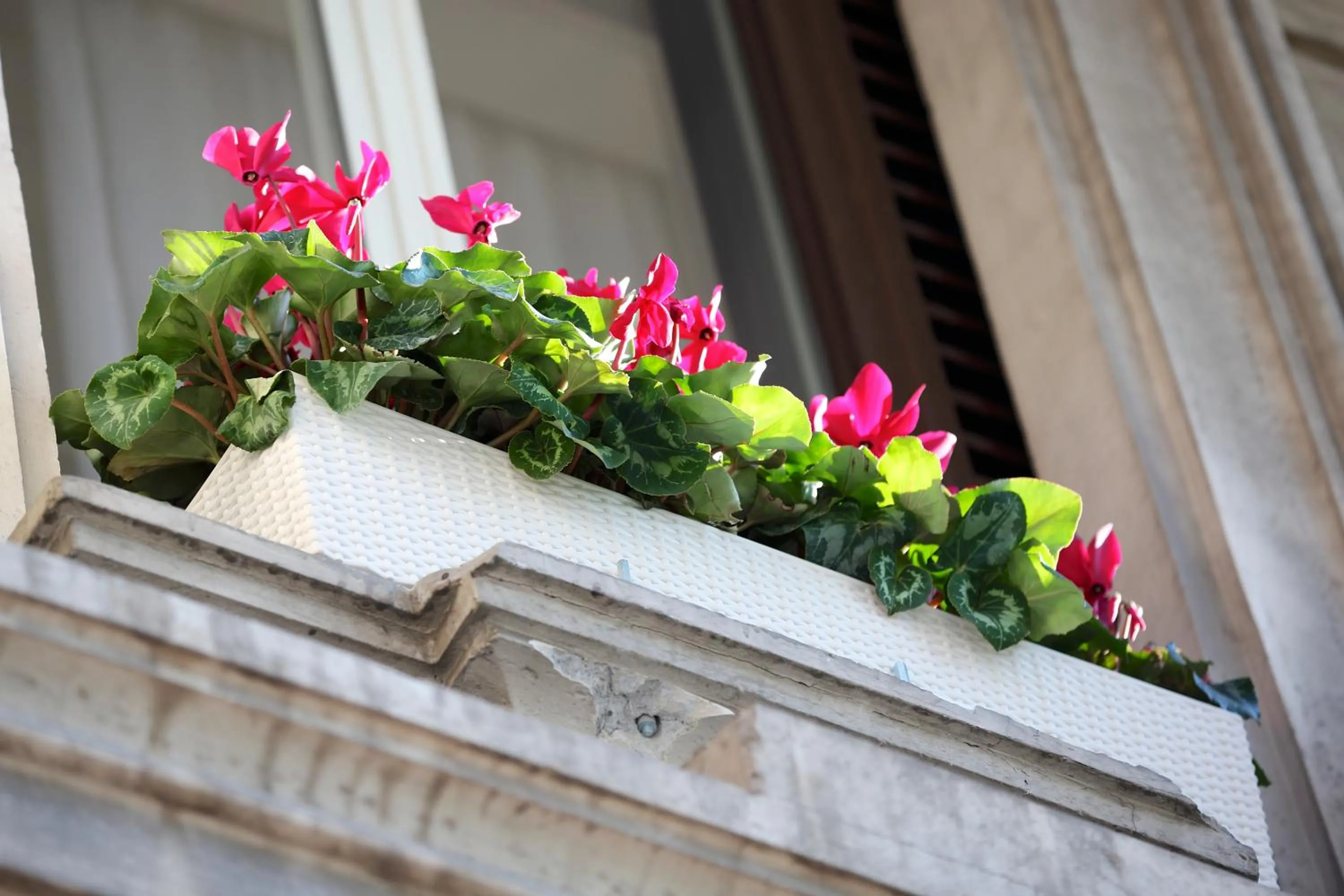 Property building in Tullia&Prisca Relais