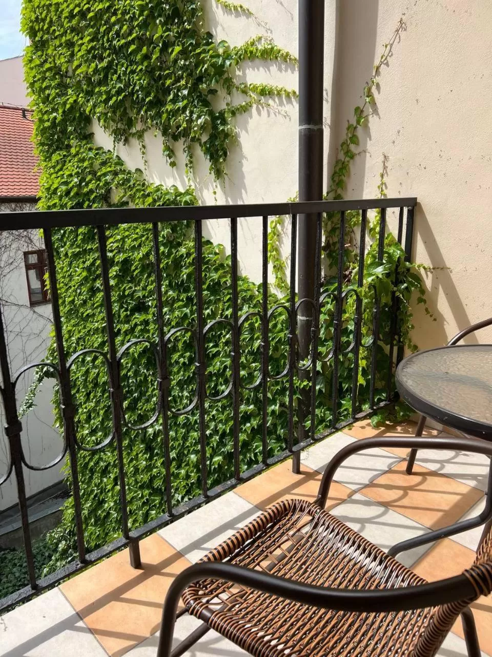 Balcony/Terrace in Hotel Residence Spalena