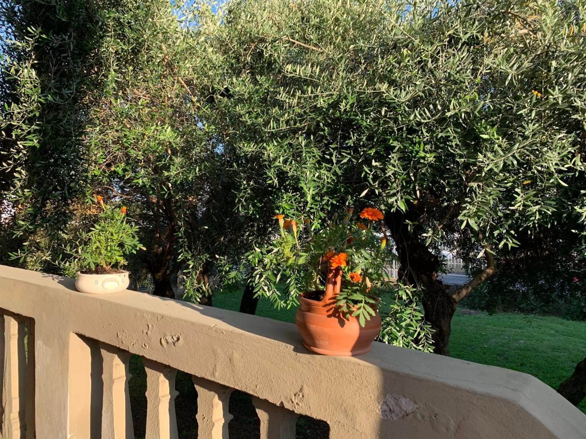 Garden view in Bed and Breakfast Villa Adelina