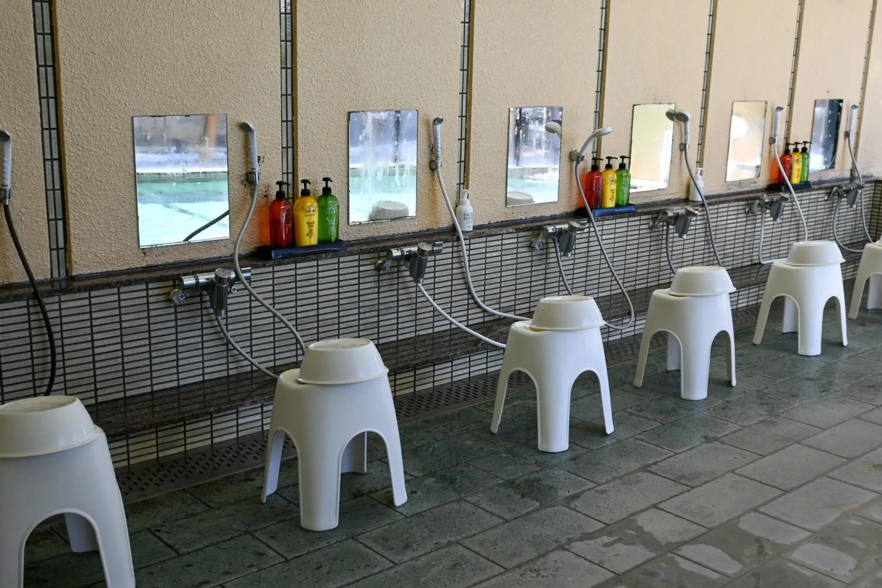 Public Bath in Hotel Goryukan