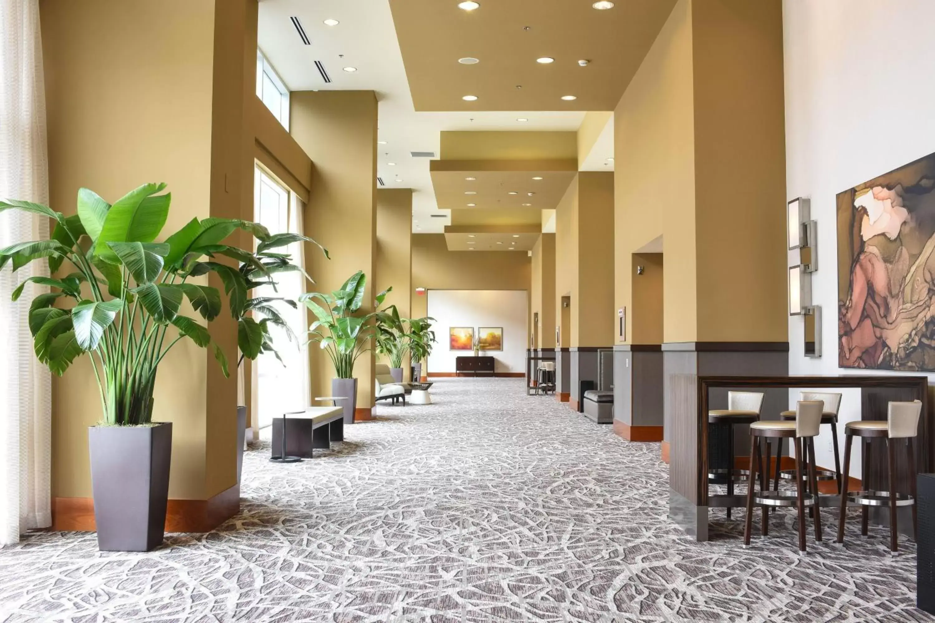 Meeting/conference room, Lobby/Reception in Marriott Raleigh City Center