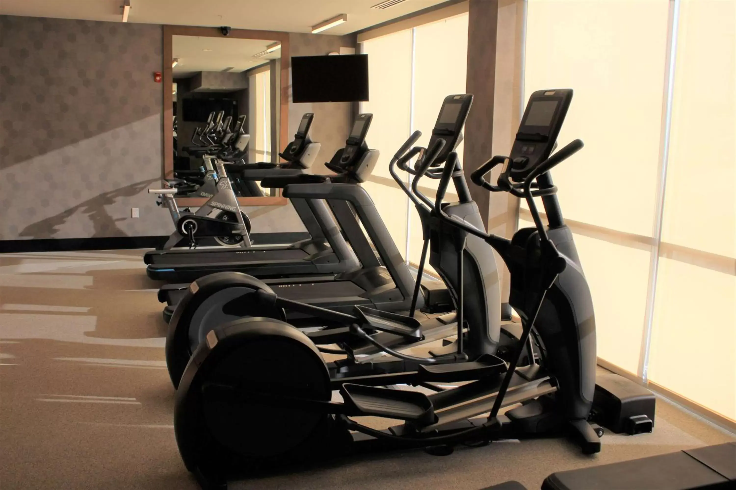 Activities, Fitness Center/Facilities in La Quinta Inn & Suites by Wyndham Bardstown
