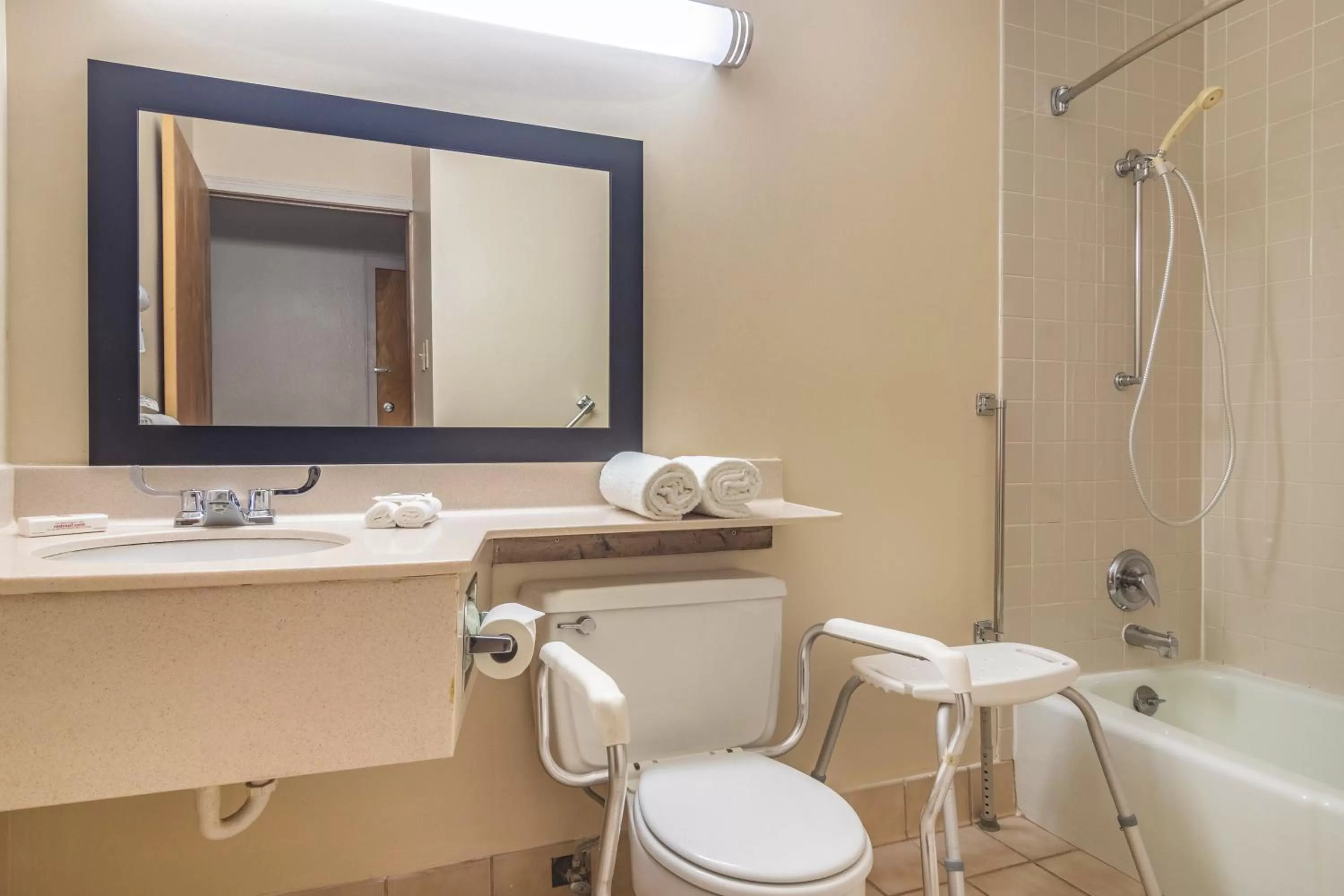 Bathroom in Red Roof Inn Ashtabula - Austinburg