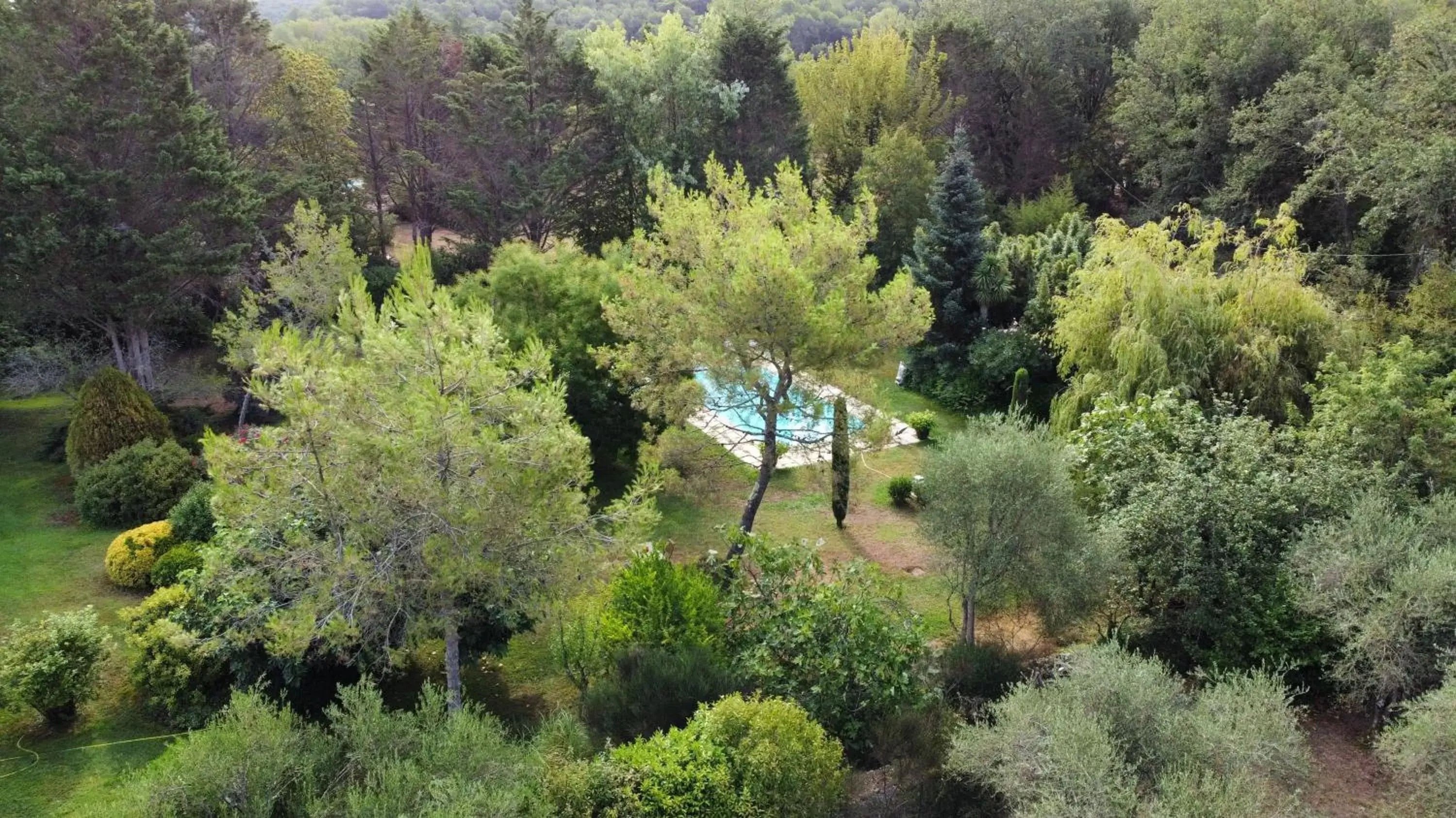 Garden view in Villa de Miha