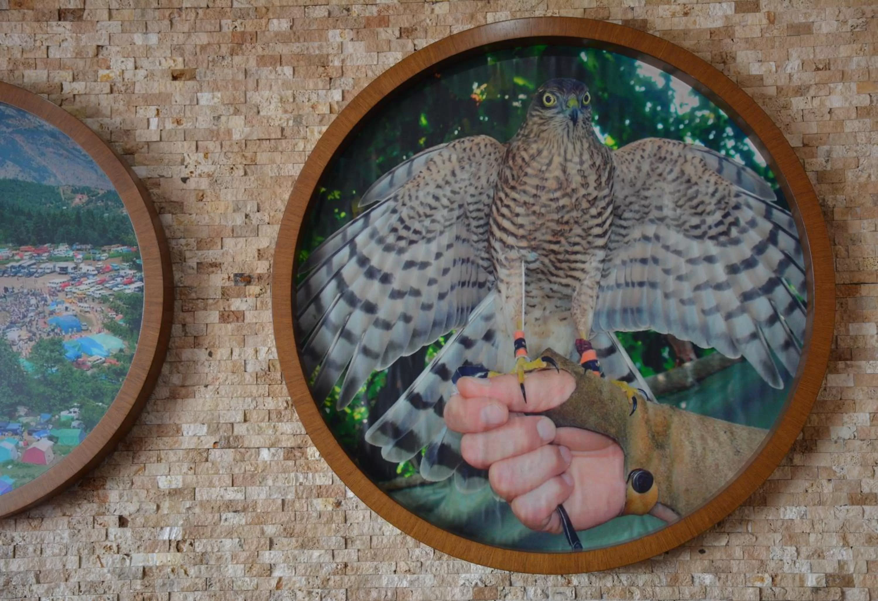 Natural landscape in Hopa Heyamo Hotel