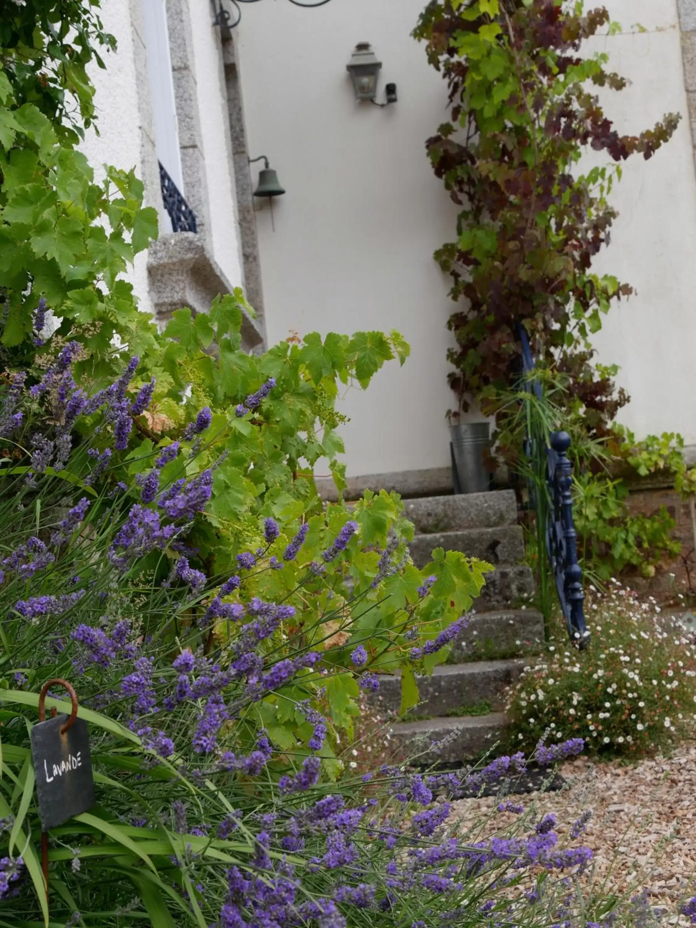 Patio, Garden in Maison Castel Braz