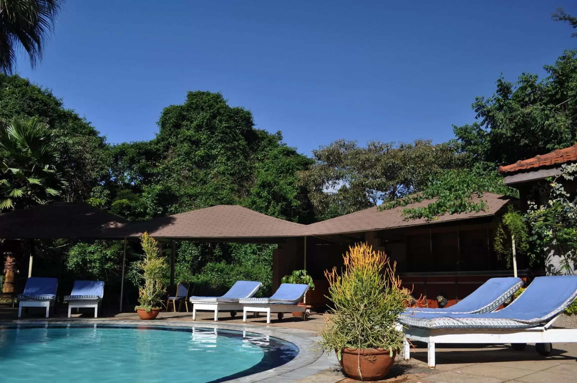 Swimming Pool in La Mada Hotel