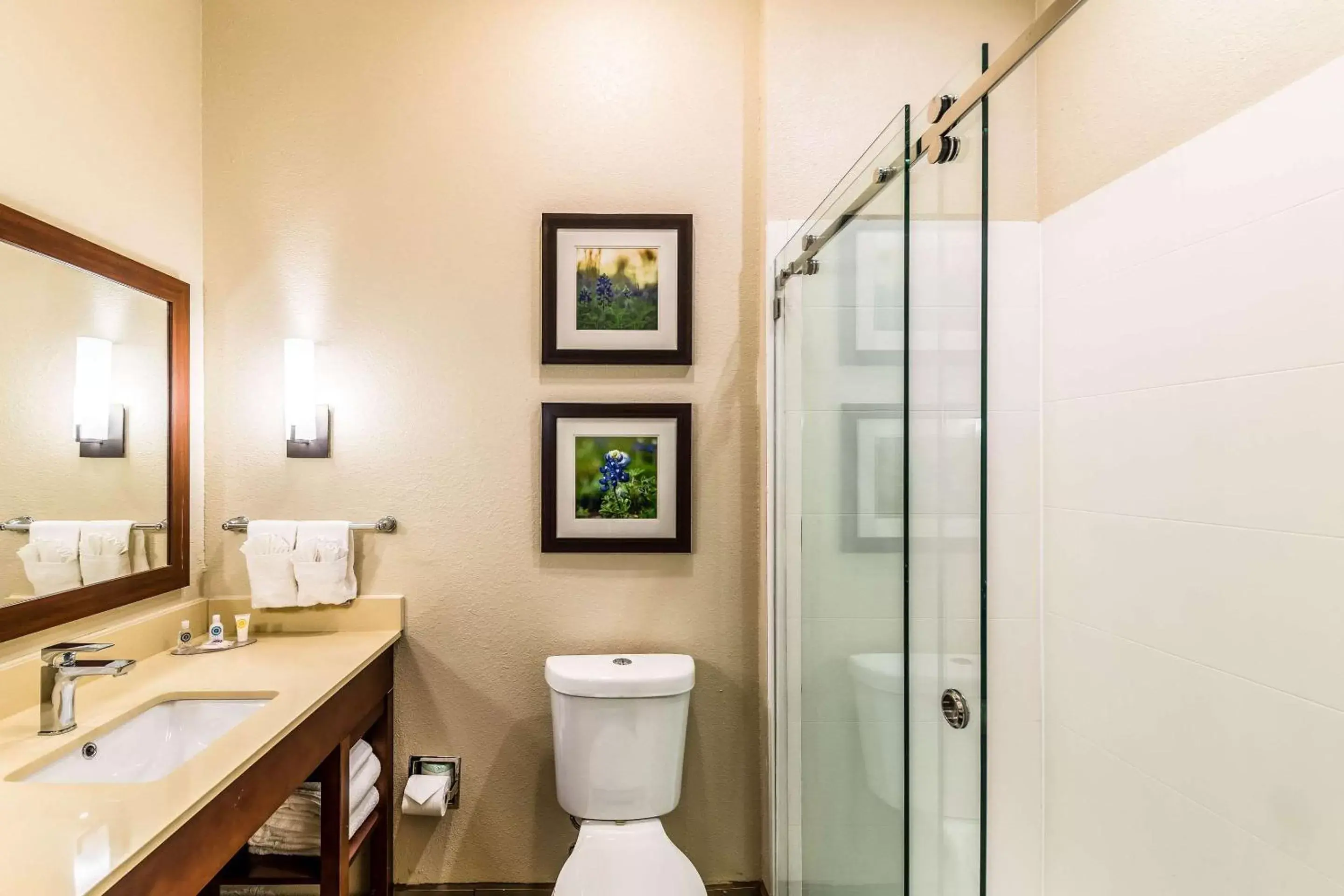 Bathroom in Comfort Suites Grand Prairie - Arlington North