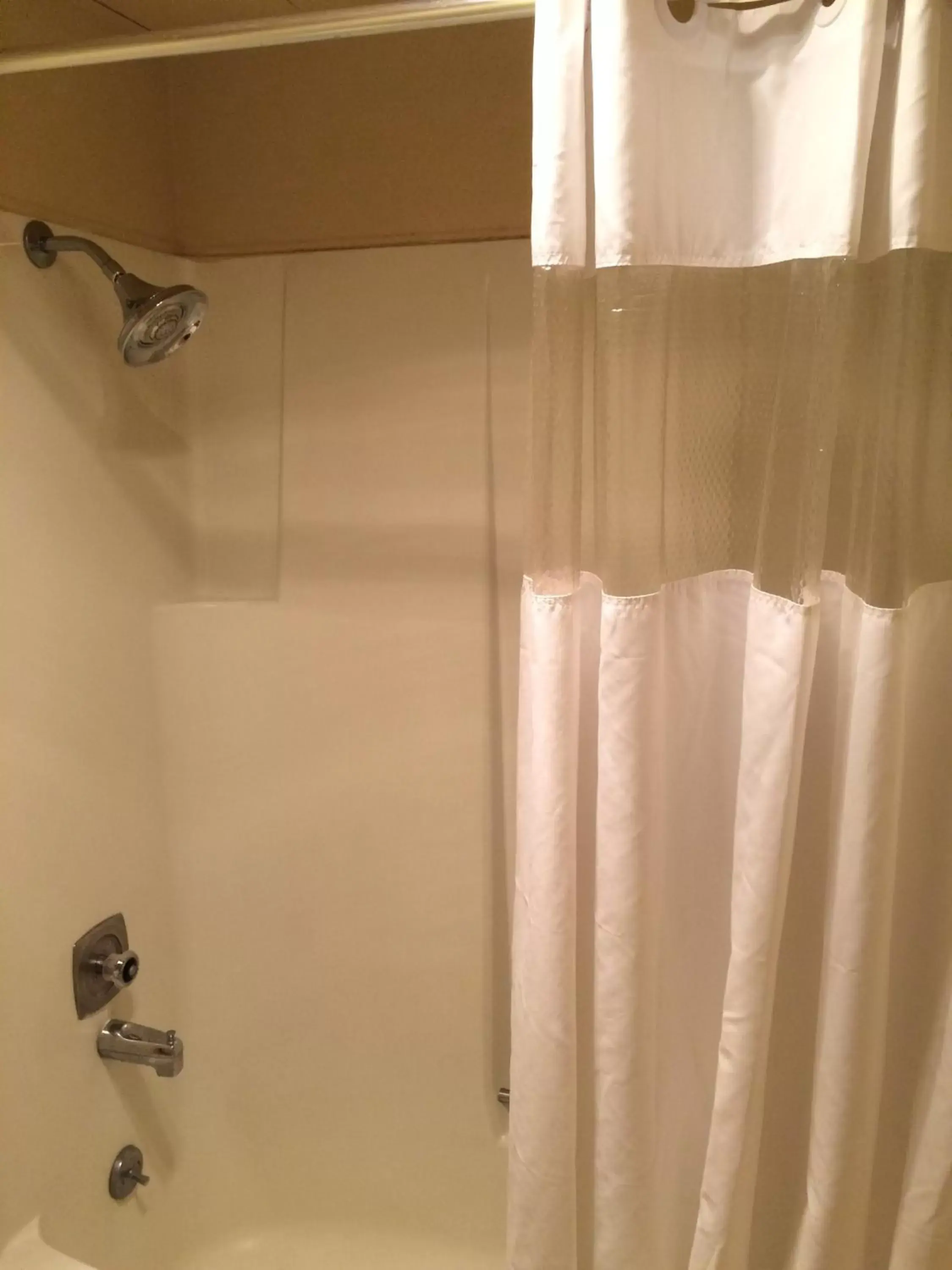 Shower, Bathroom in Budget Motel