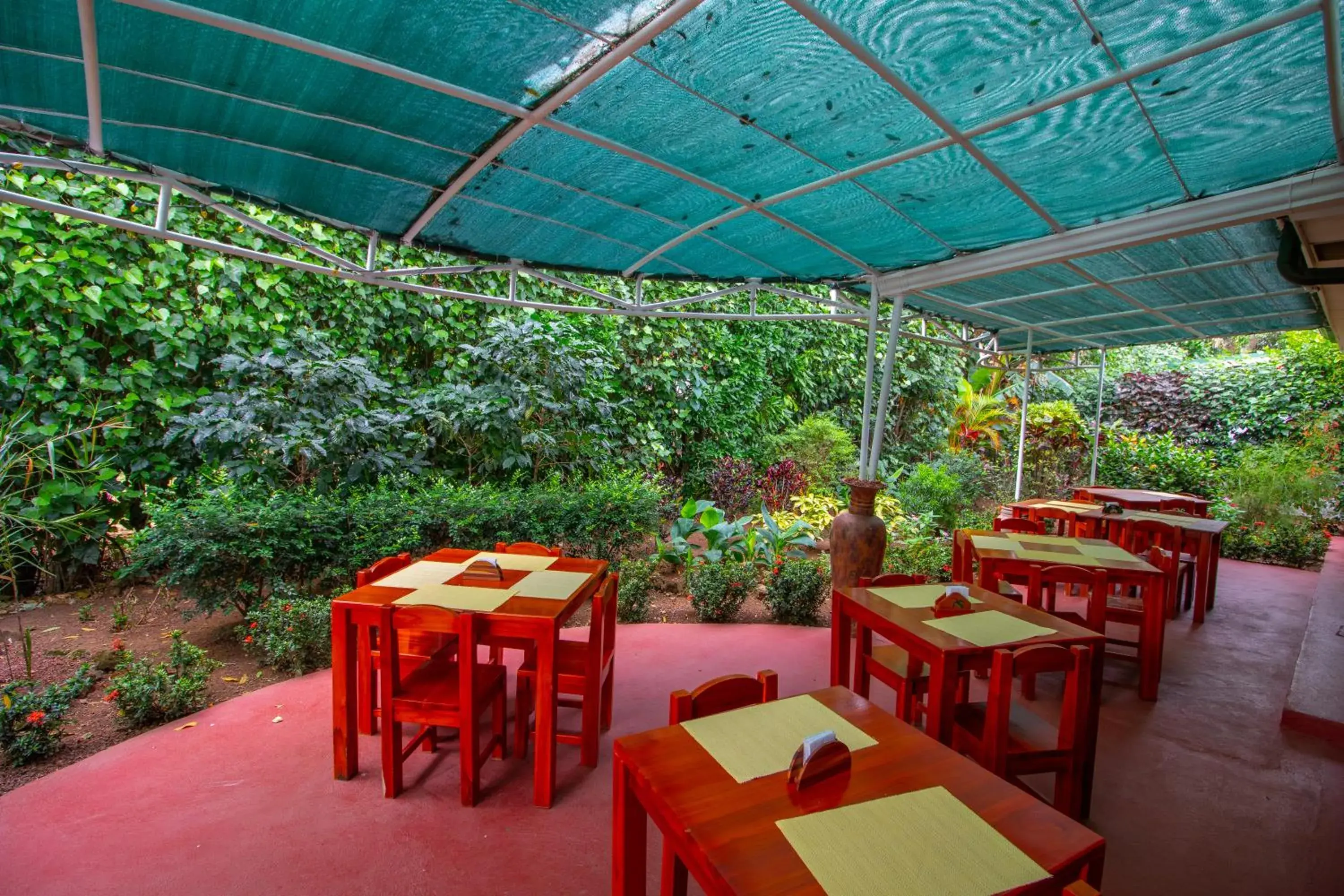 Patio, Restaurant/Places to Eat in Hotel La Rosa de America