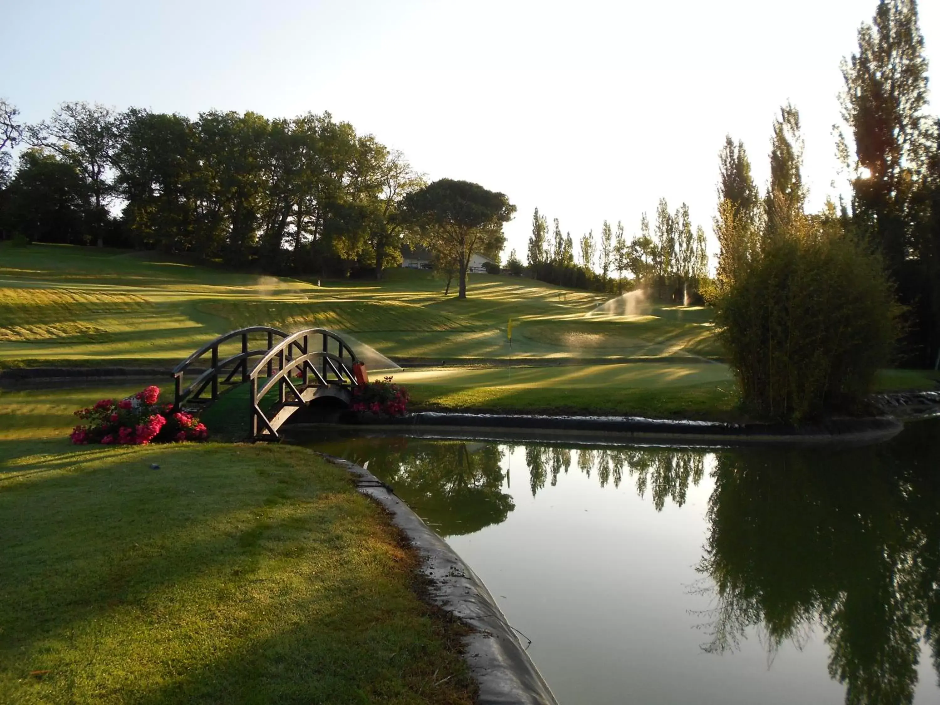 Natural landscape in Hôtel de Sèze & Spa Bordeaux Centre