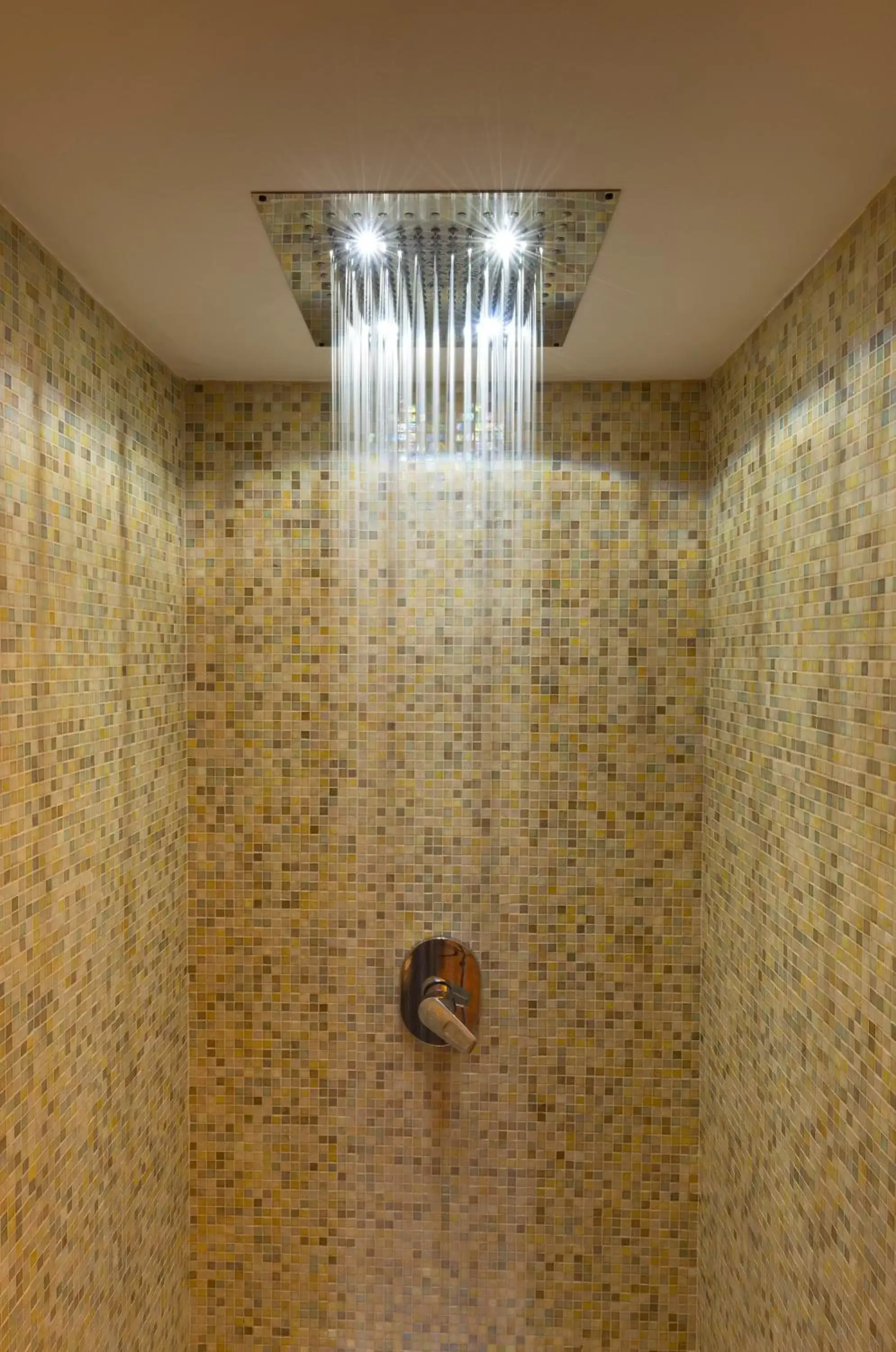 Spa and wellness centre/facilities, Bathroom in Palazzo Bezzi Hotel