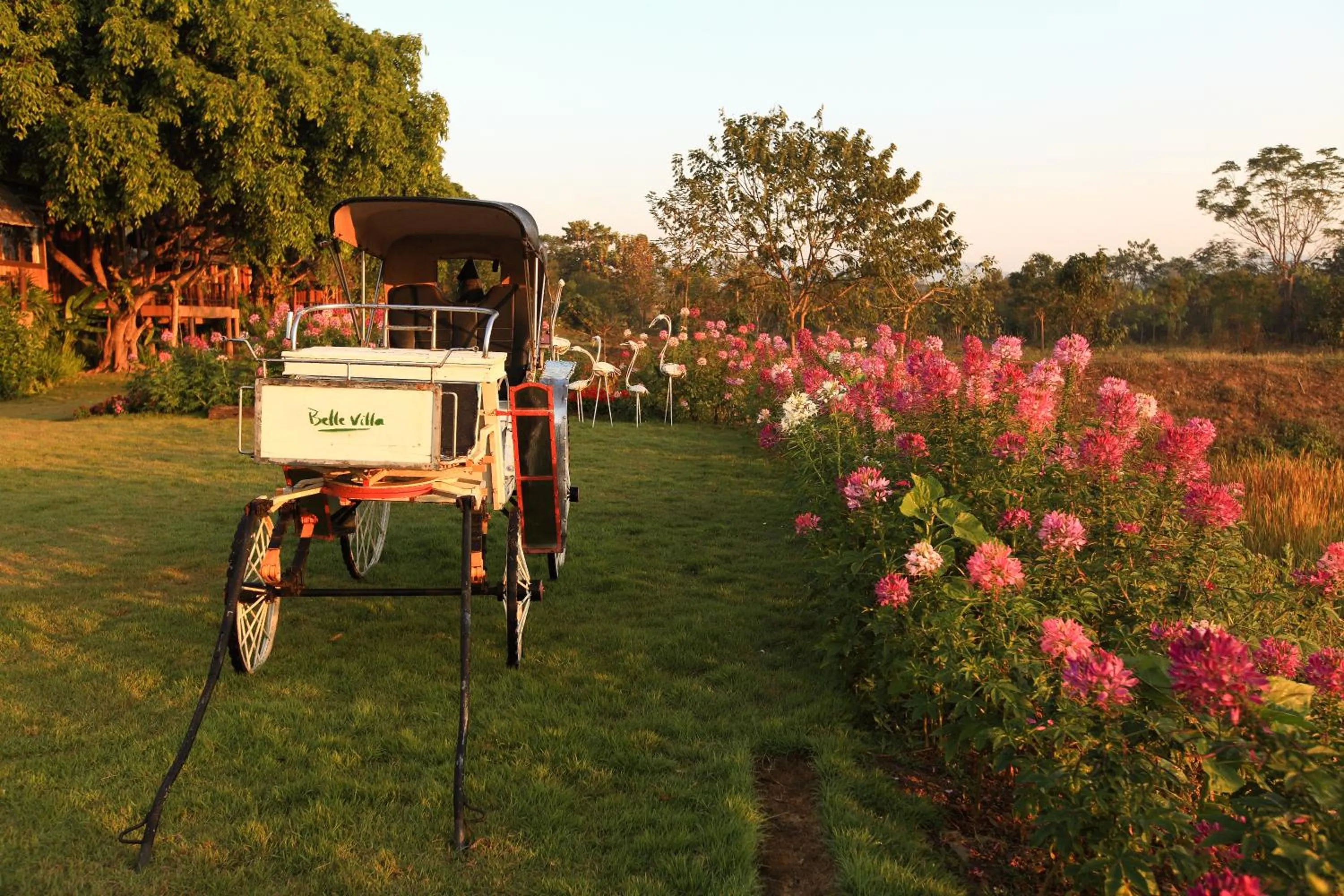 Garden view in Belle Villa Resort, Pai