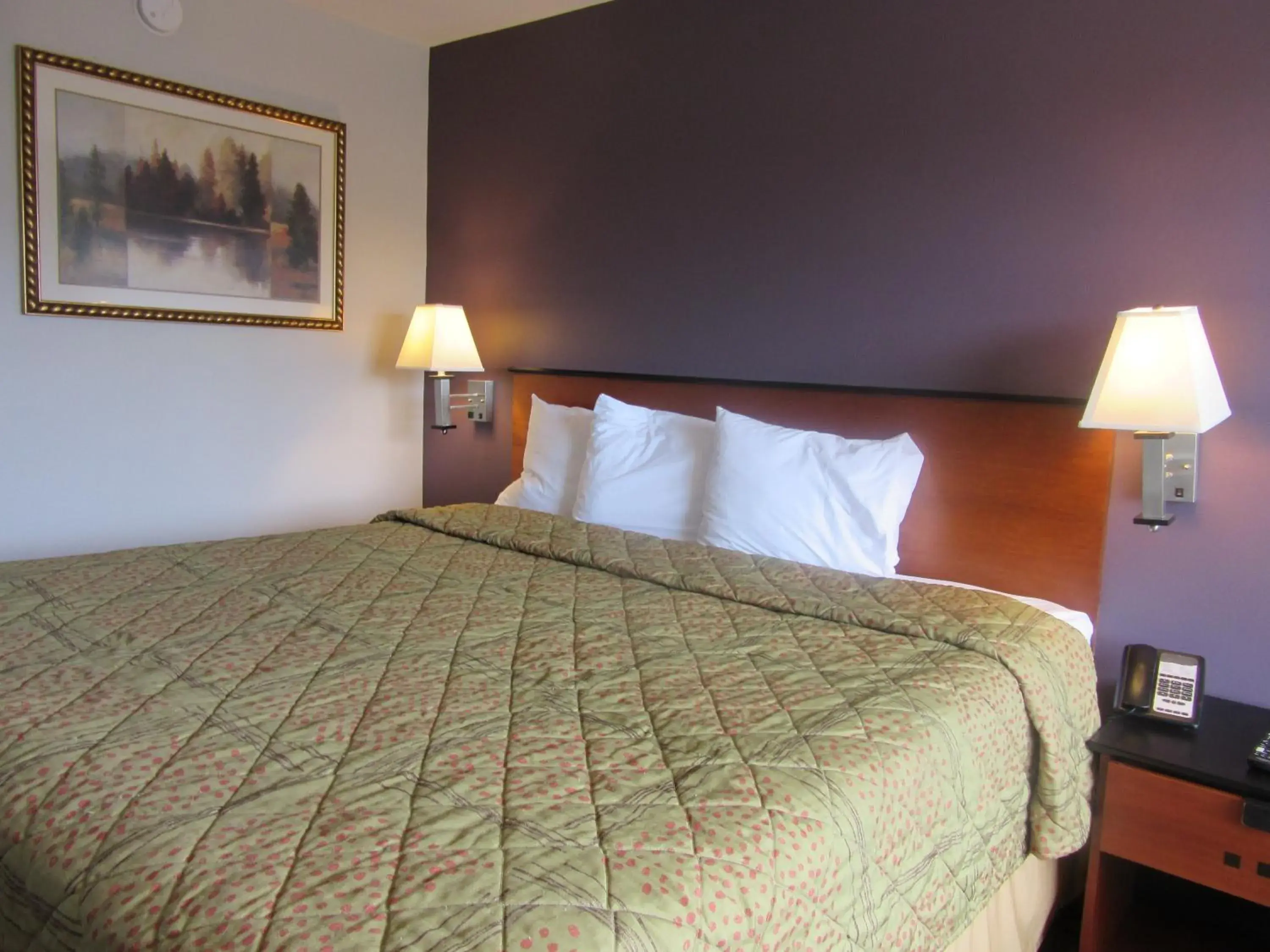 King Room - Non-Smoking/Pet Friendly in Rodeway Inn Arlington