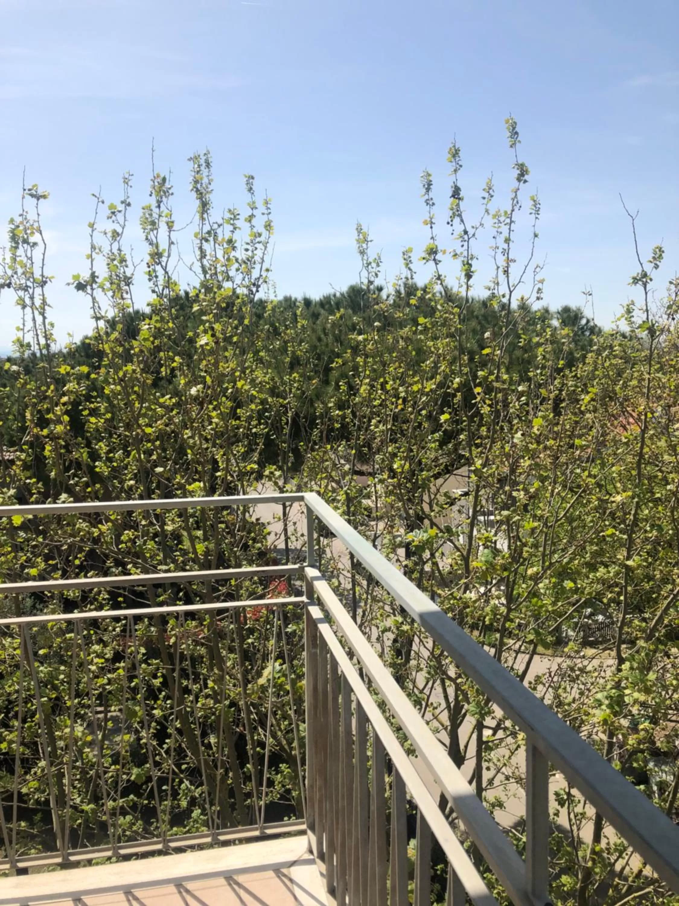 View (from property/room) in Hotel del Falco