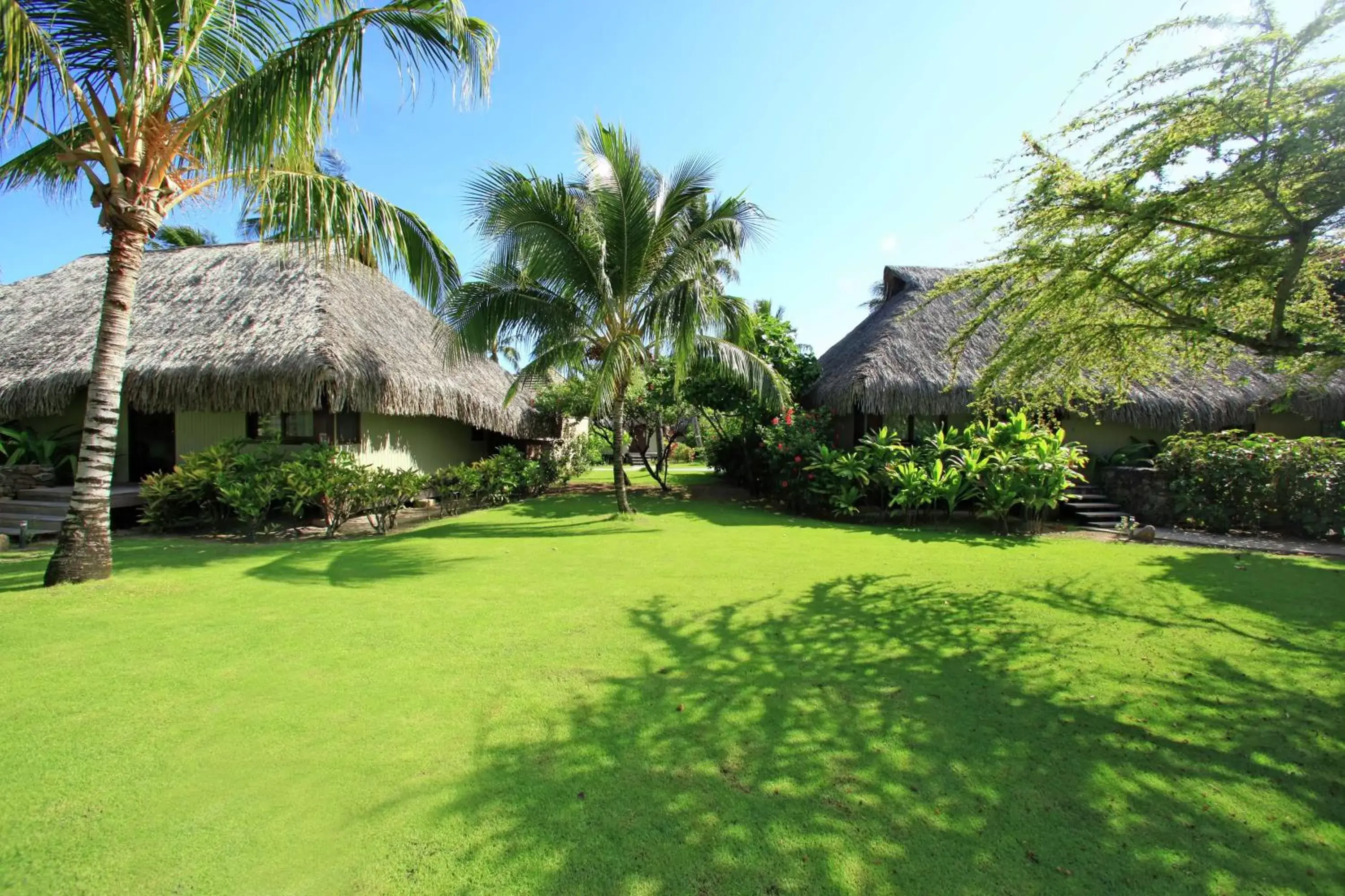 King Deluxe Garden Bungalow with Private Pool in Hilton Moorea Lagoon Resort & Spa King Deluxe Garden Bungalow with Private Pool in Hilton Moorea Lagoon Resort & Spa