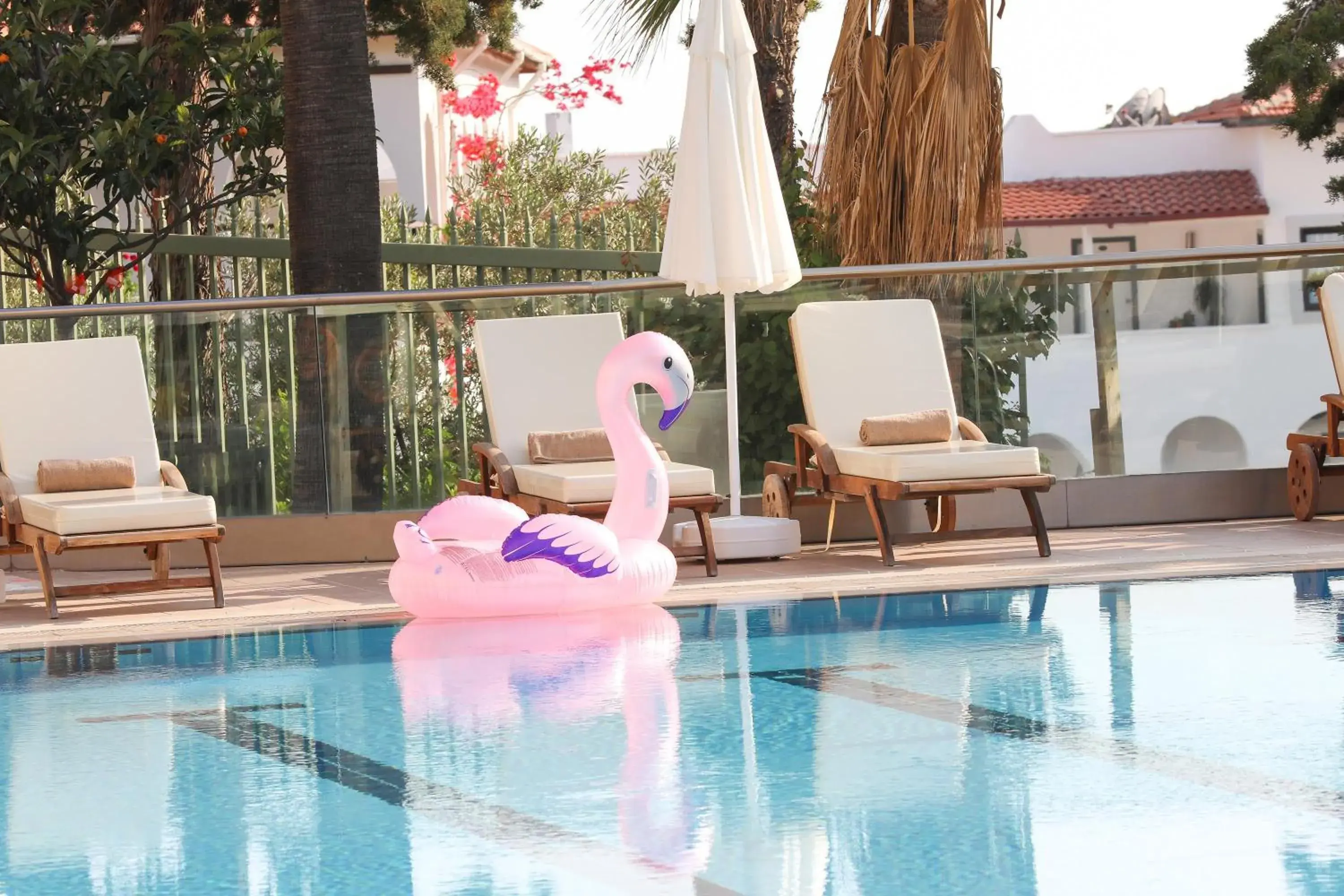 Swimming Pool in Happy Hotel