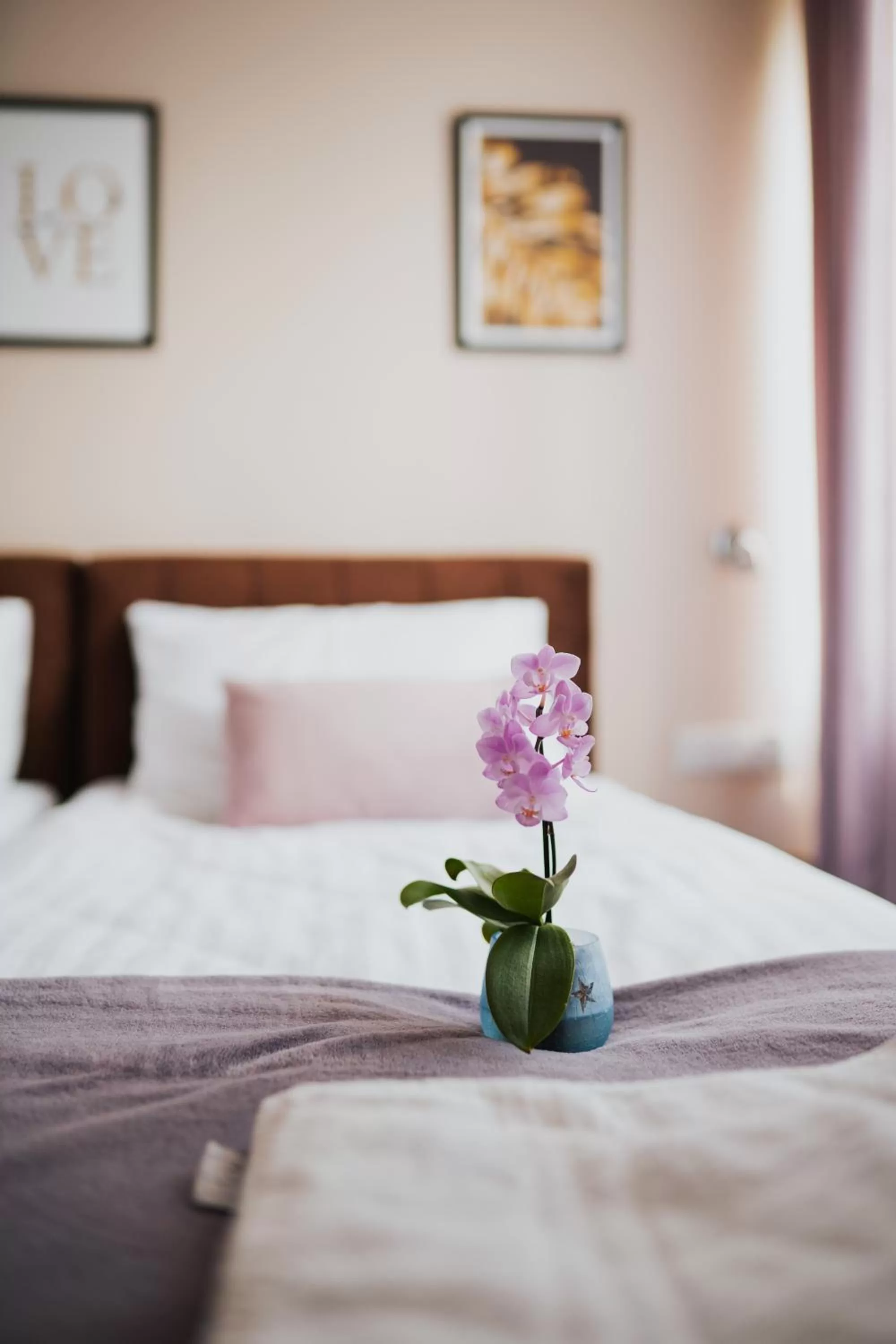 Photo of the whole room, Bed in Villa Paula