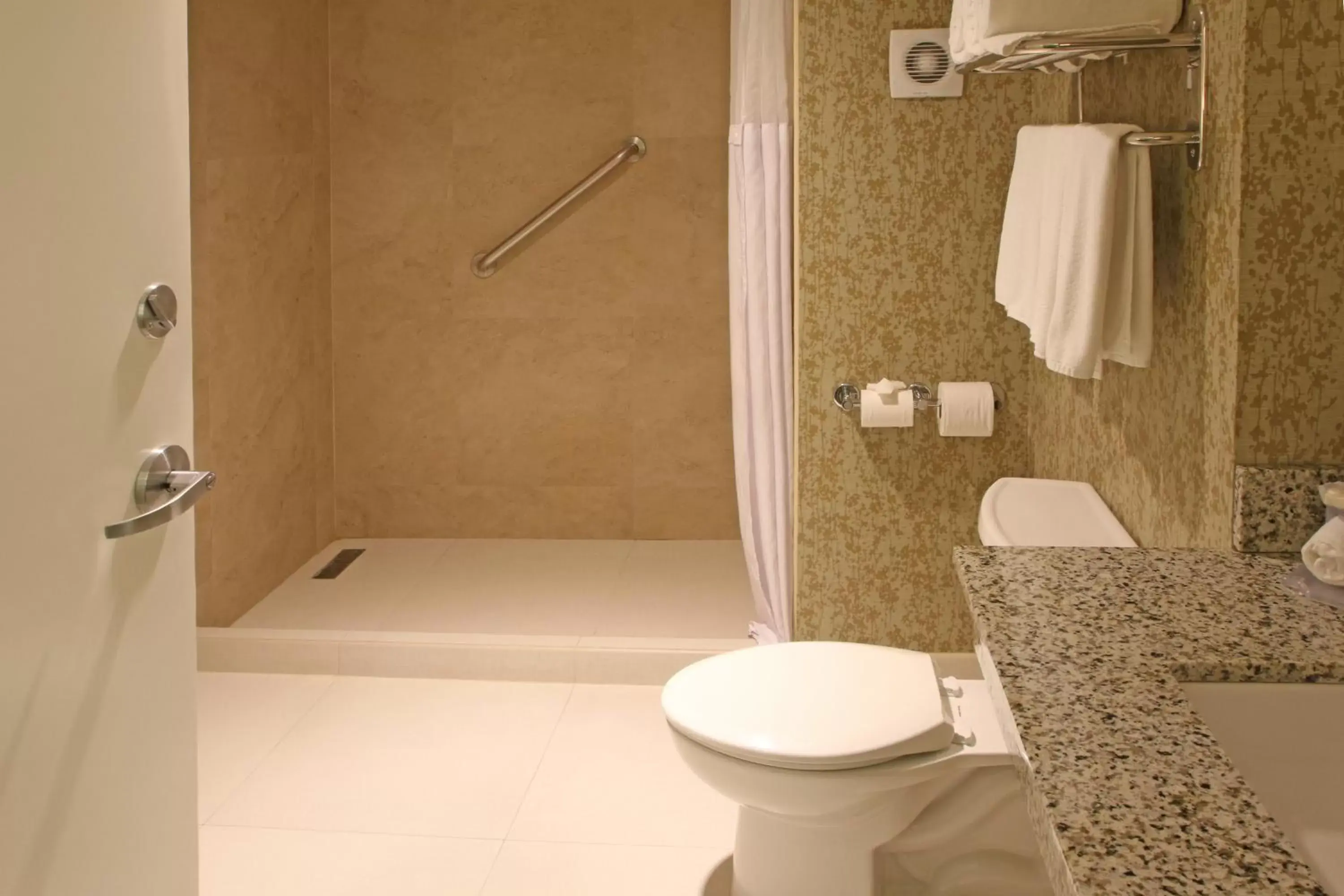 Bathroom in Holiday Inn Express & Suites Cuernavaca, an IHG Hotel