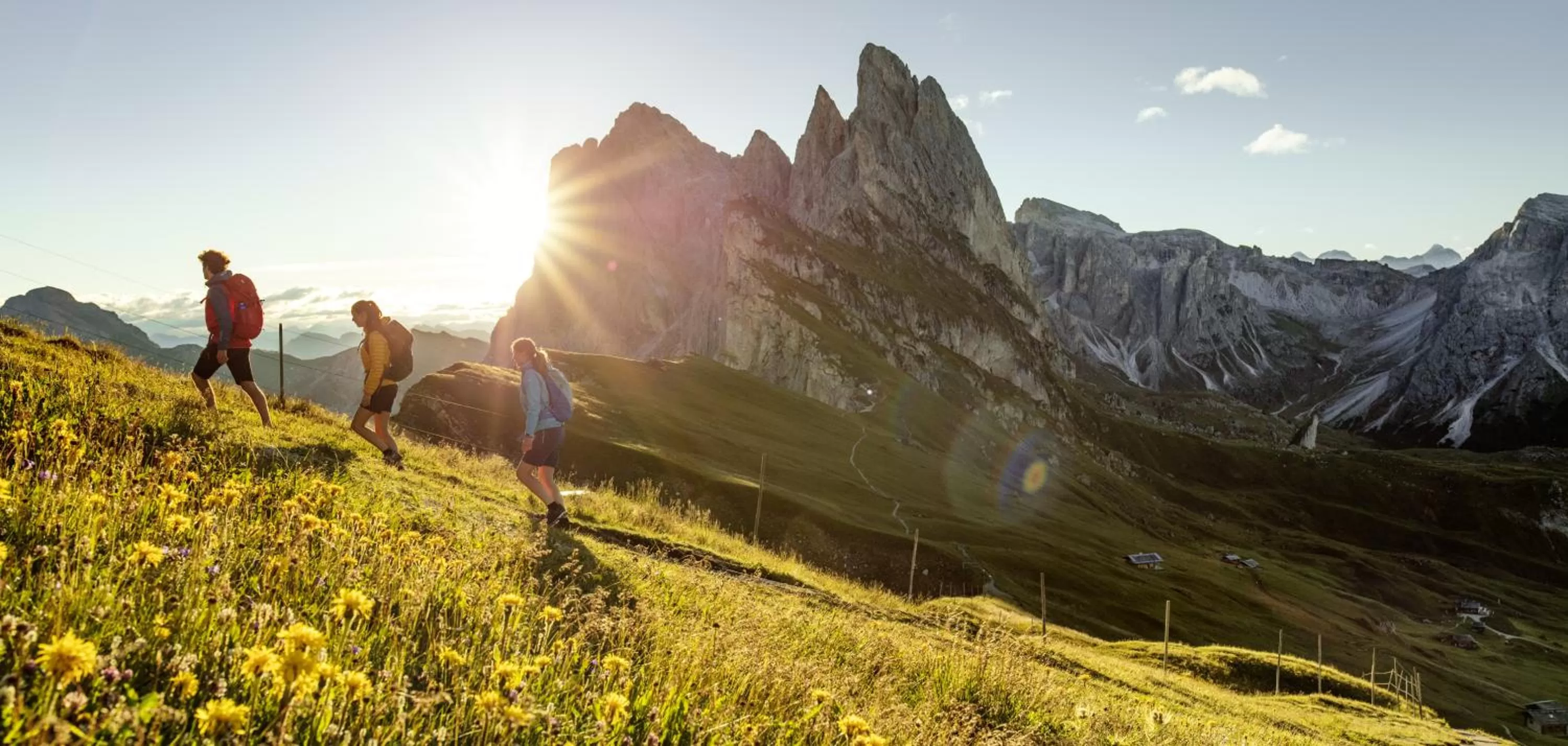 Natural landscape in Eden Apartments