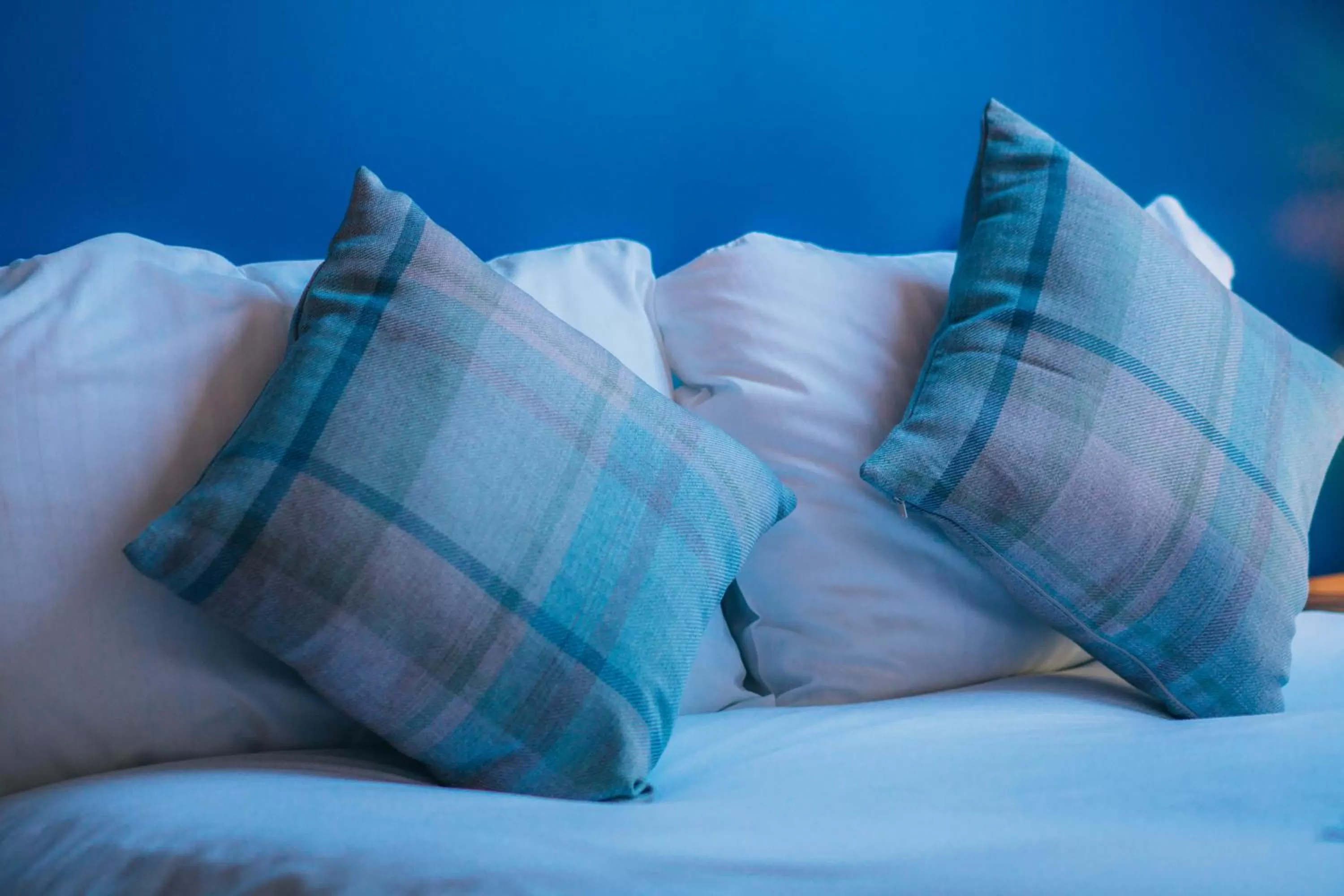 Bed in Tynycornel Hotel