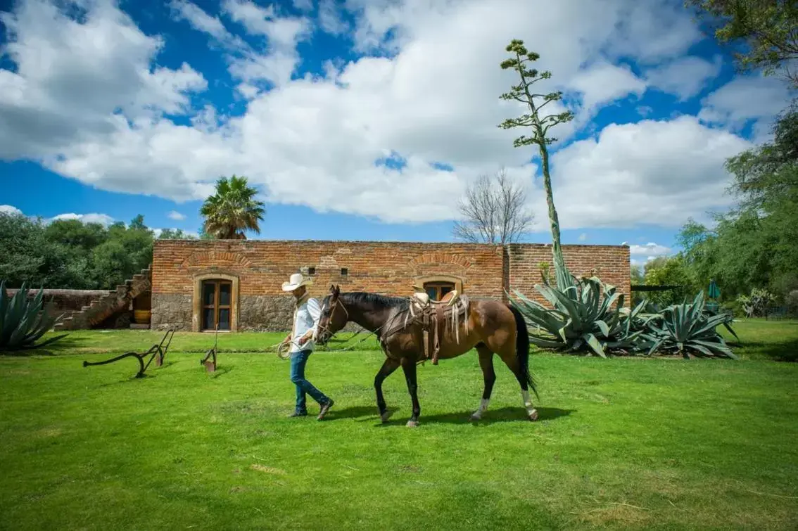 People, Other Animals in Hacienda Sepulveda Hotel & Spa