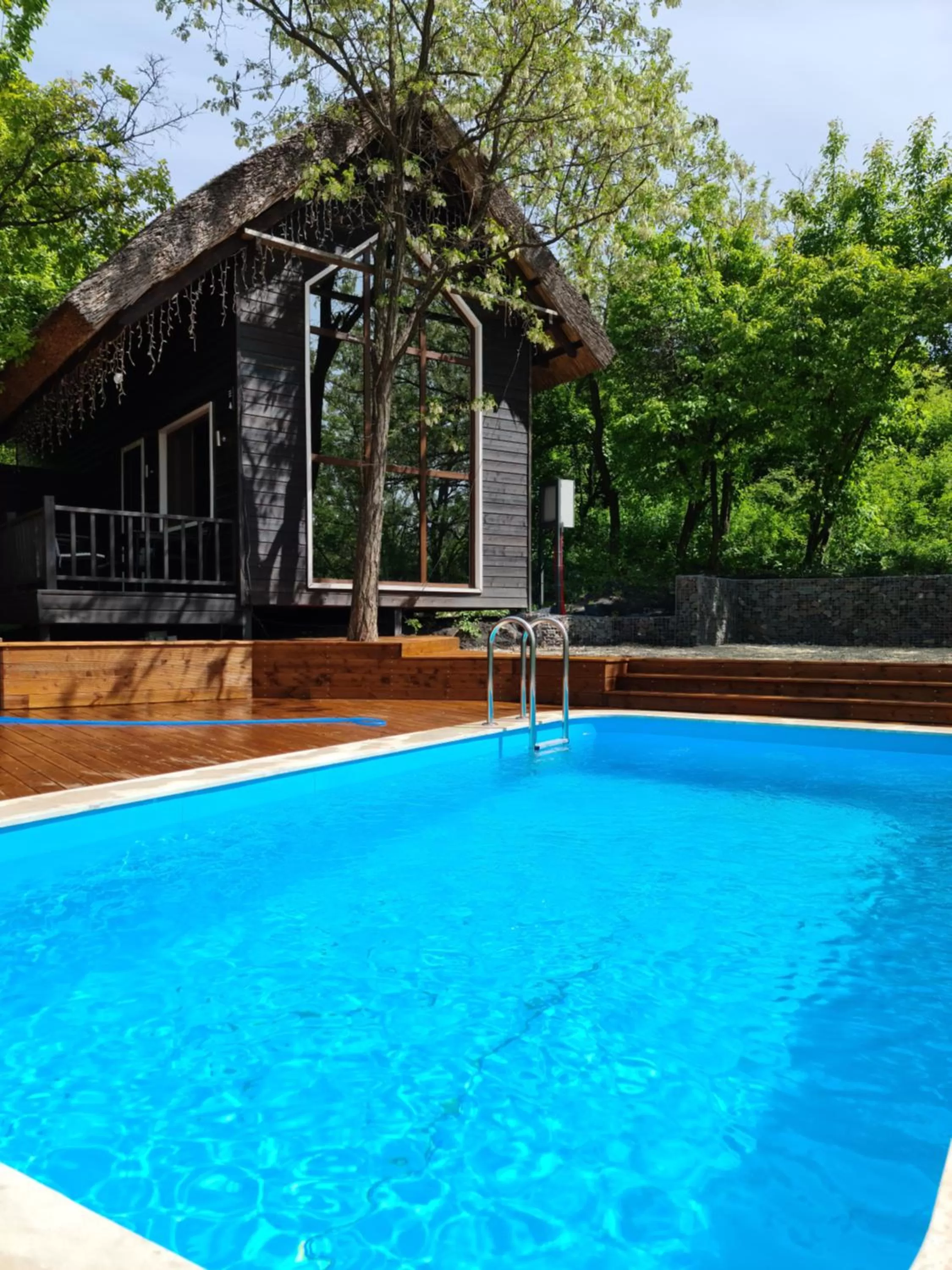 Swimming Pool in Tree House Relax Park