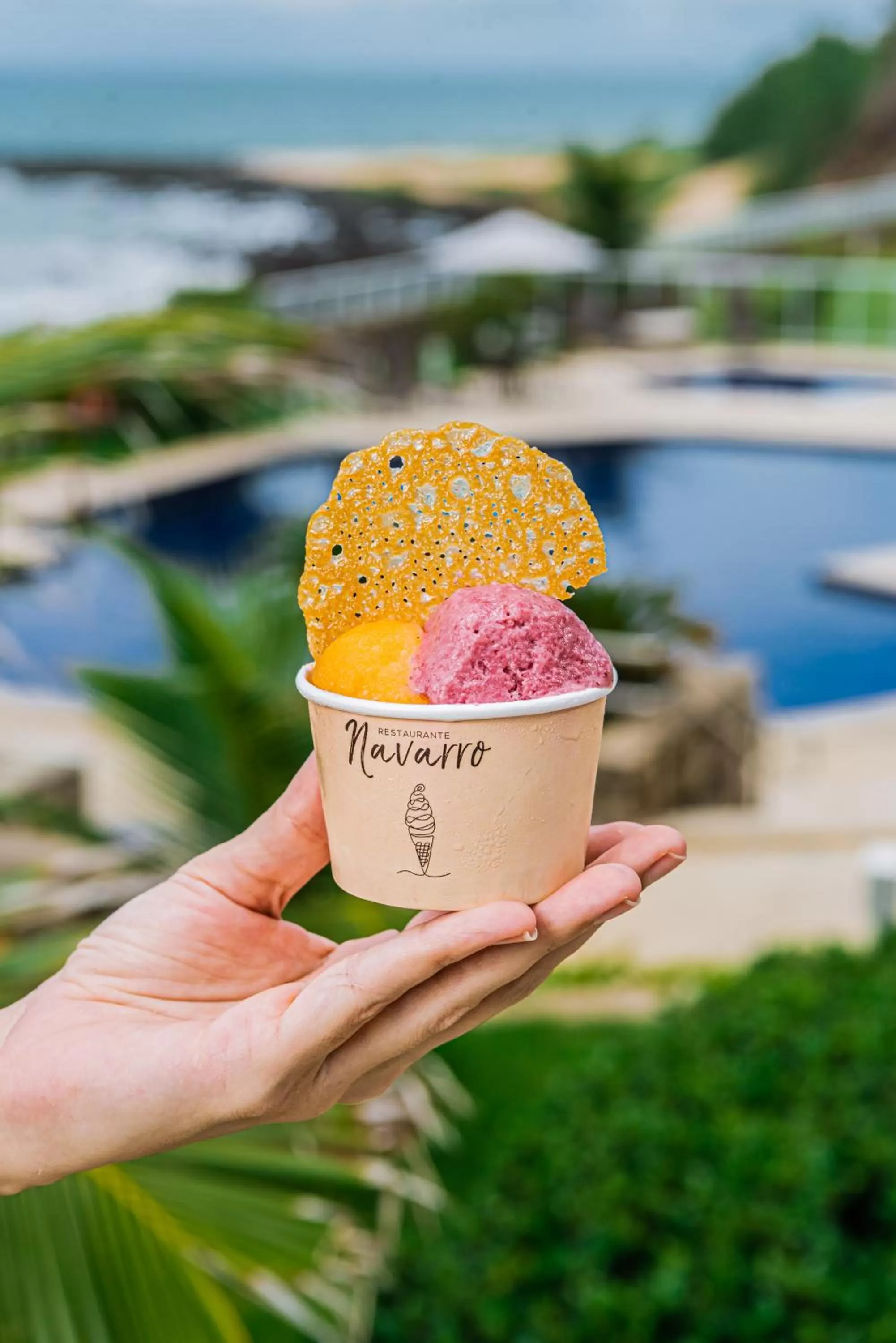 Food close-up in Hotel Senac Barreira Roxa