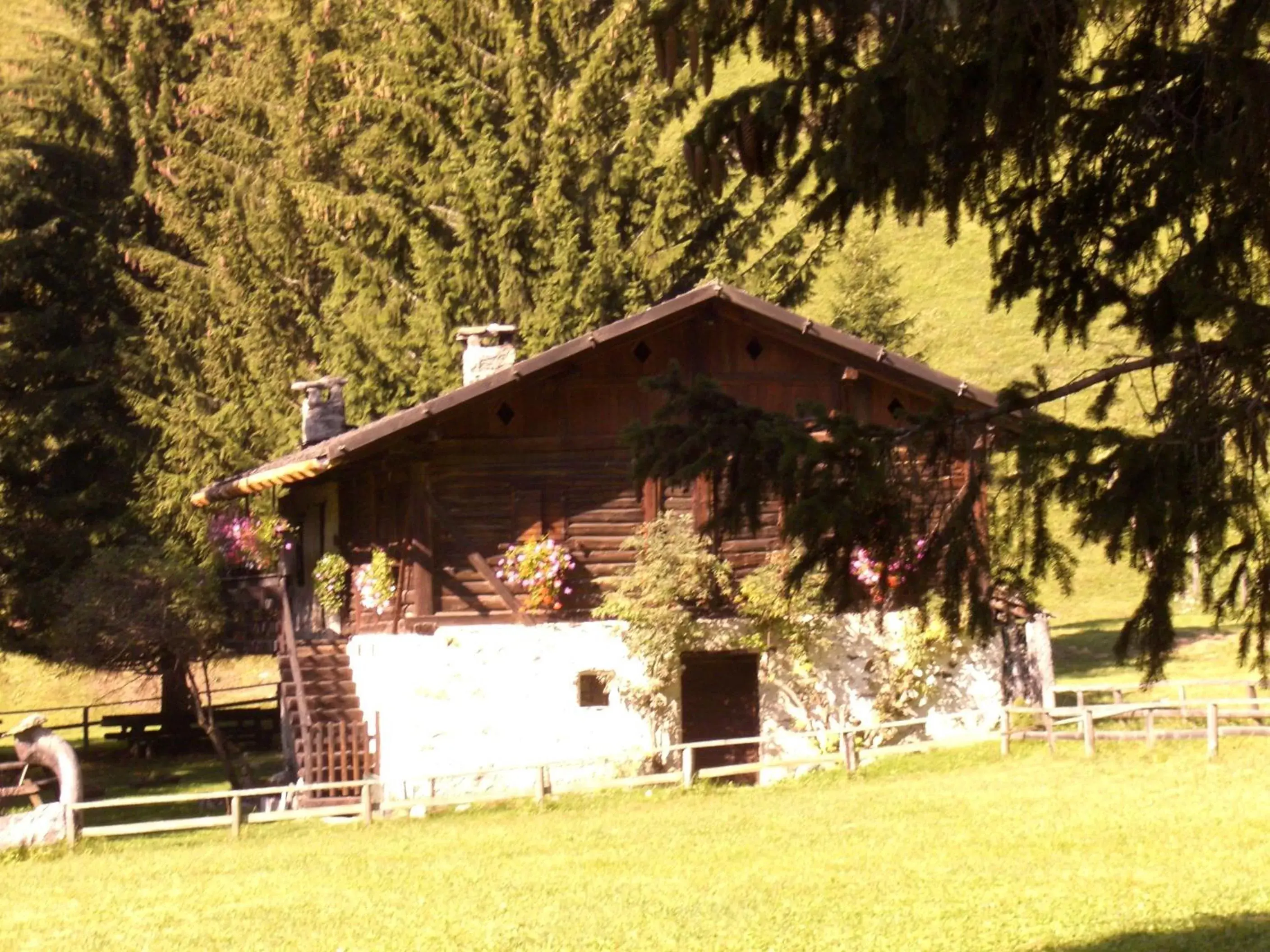 Property Building in Albergo Alpino