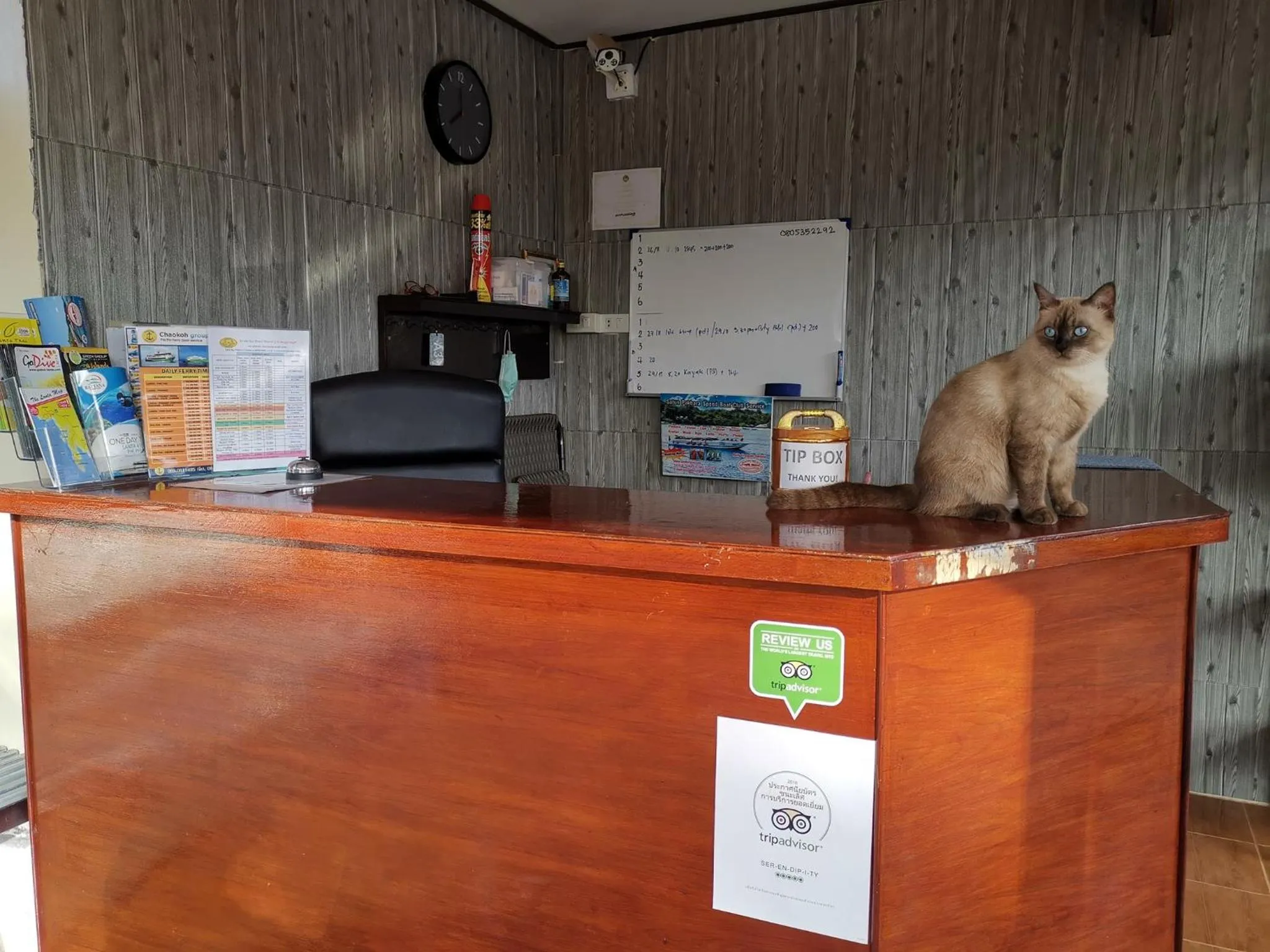 Lobby or reception in SER-EN-DIP-I-TY - SHA Extra Plus