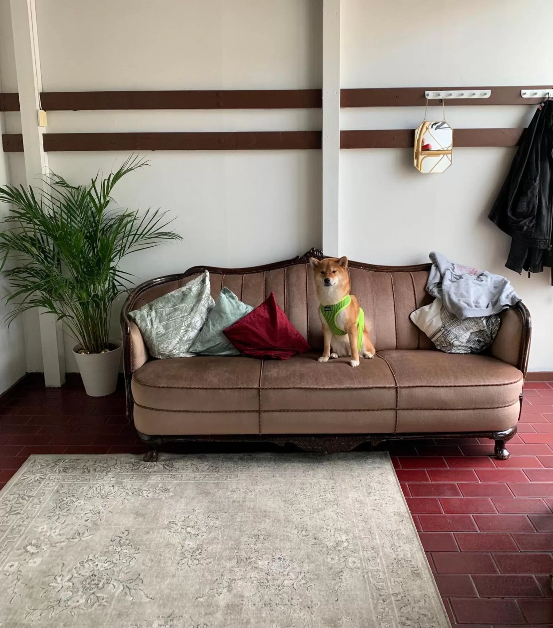 Wherever Mini Hostel