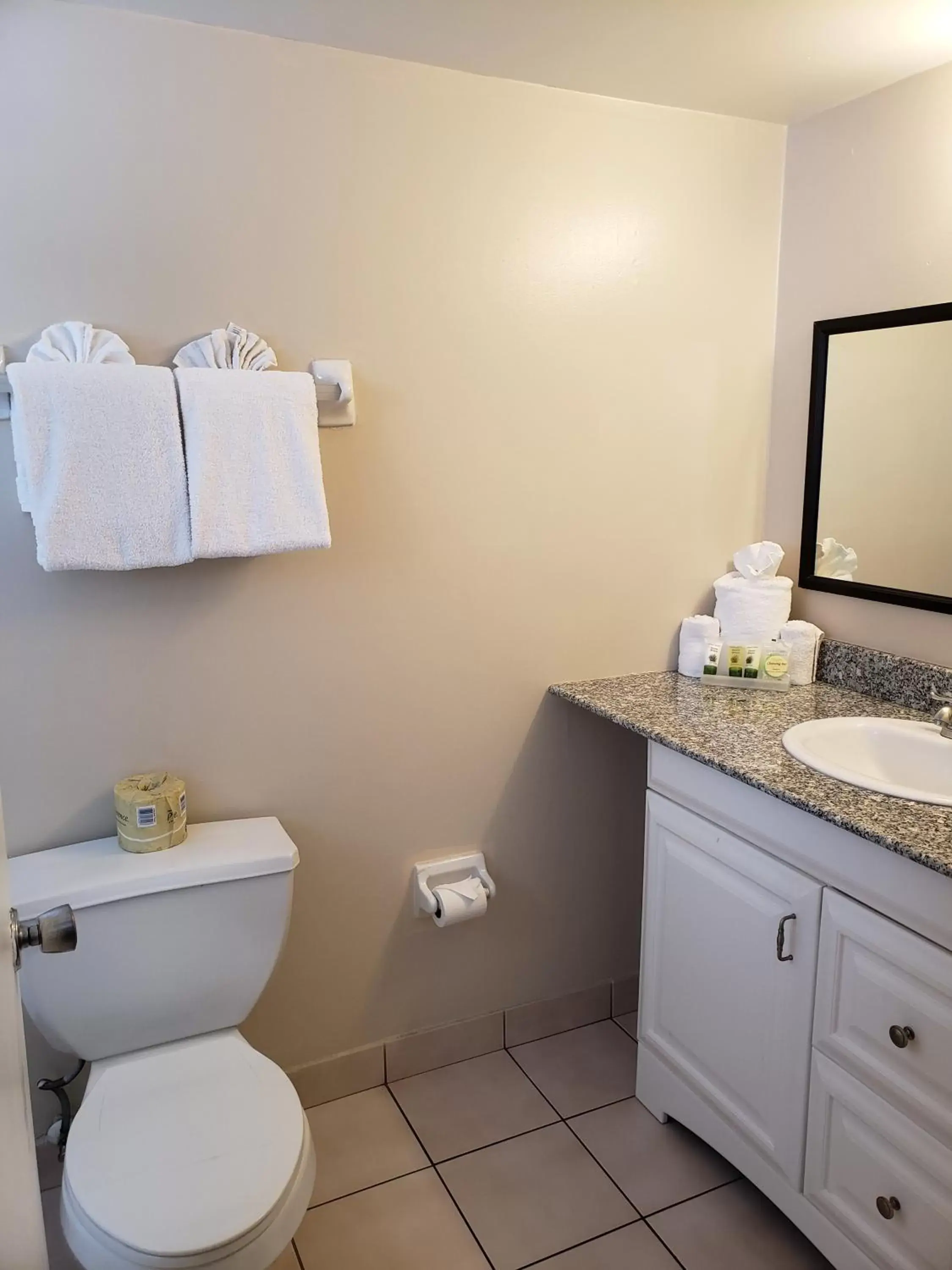 Bathroom in Clearwater Beach Hotel