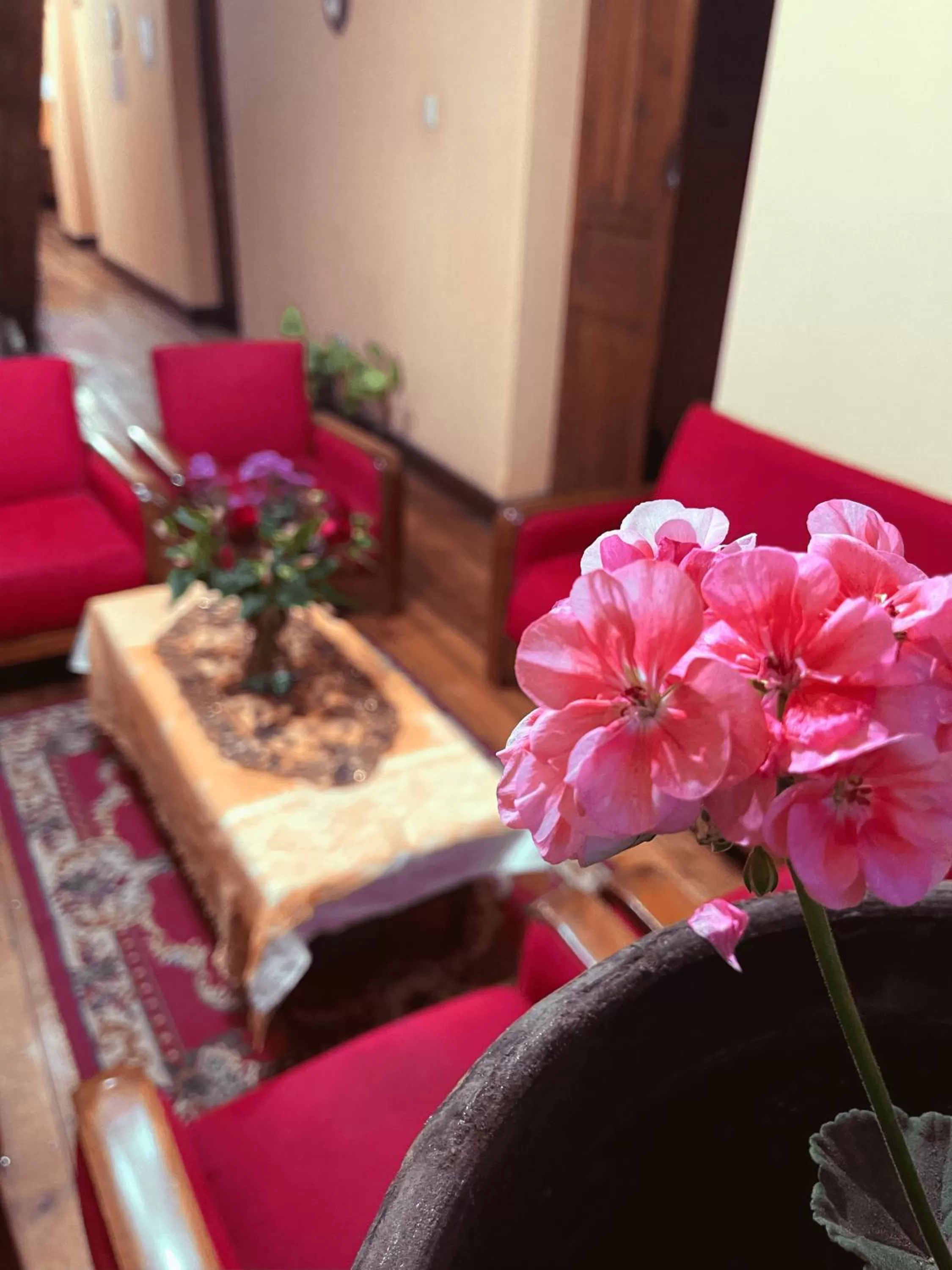 Living room in La Posada Colonial