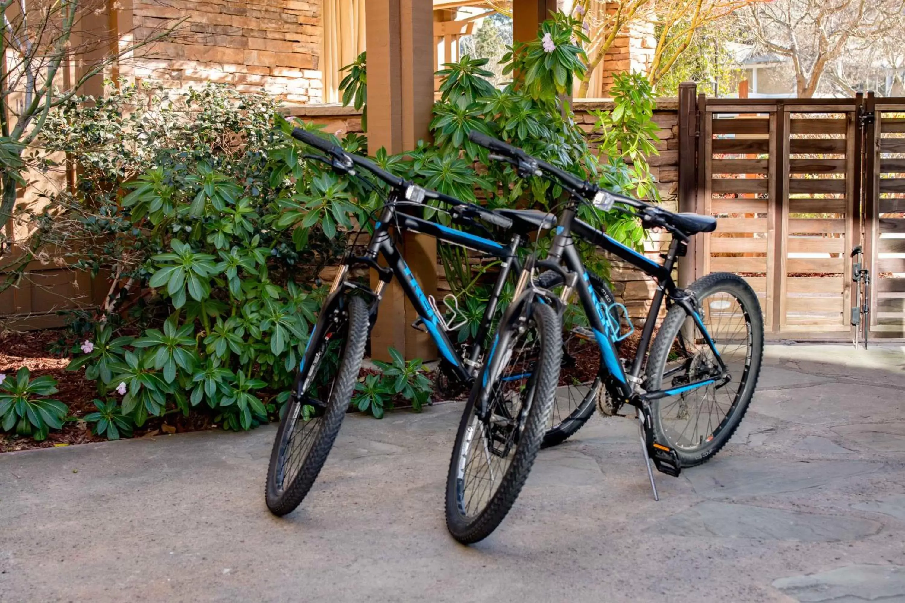 Cycling, Biking in The Lodge at Tiburon