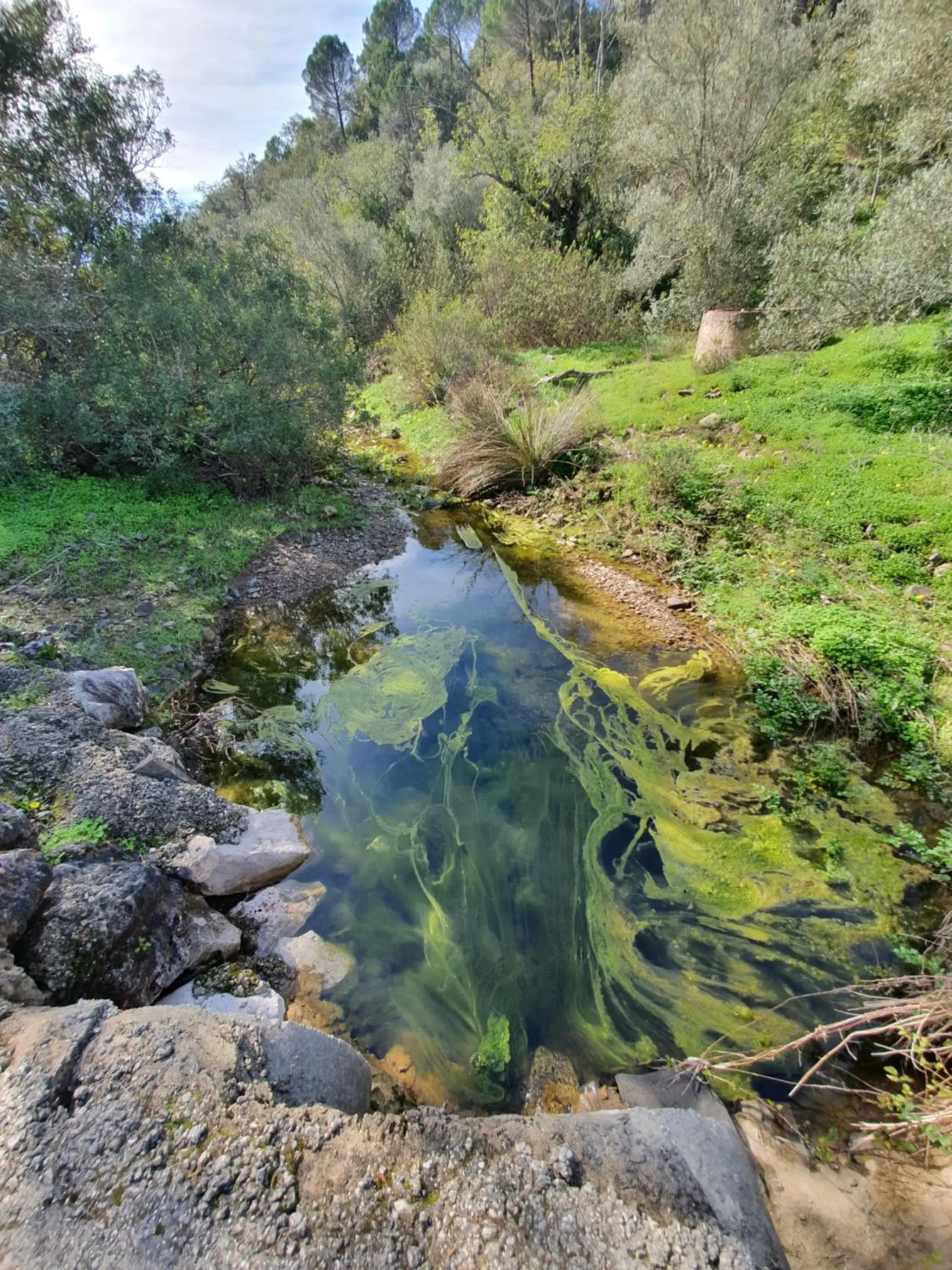 Natural Landscape in Clube Maria Luisa