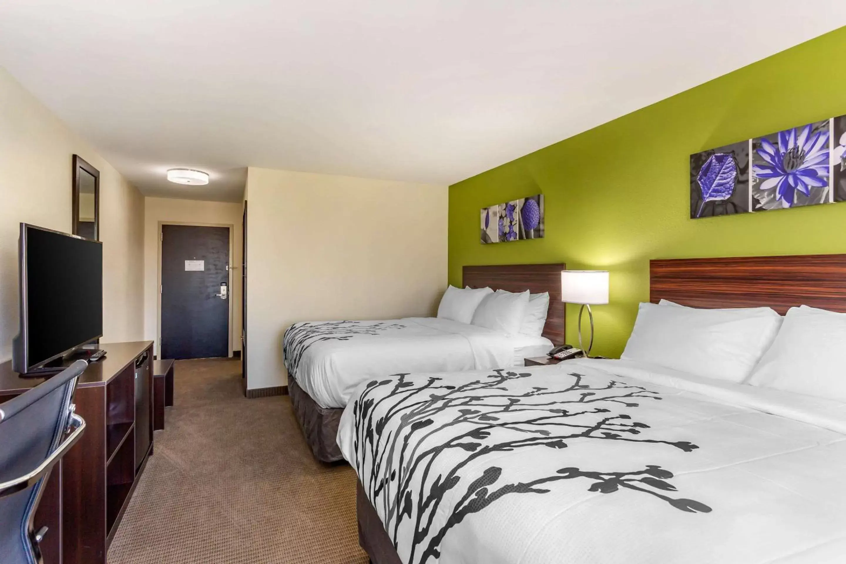 Photo of the whole room, Bed in Sleep Inn & Suites Gallatin - Nashville Metro