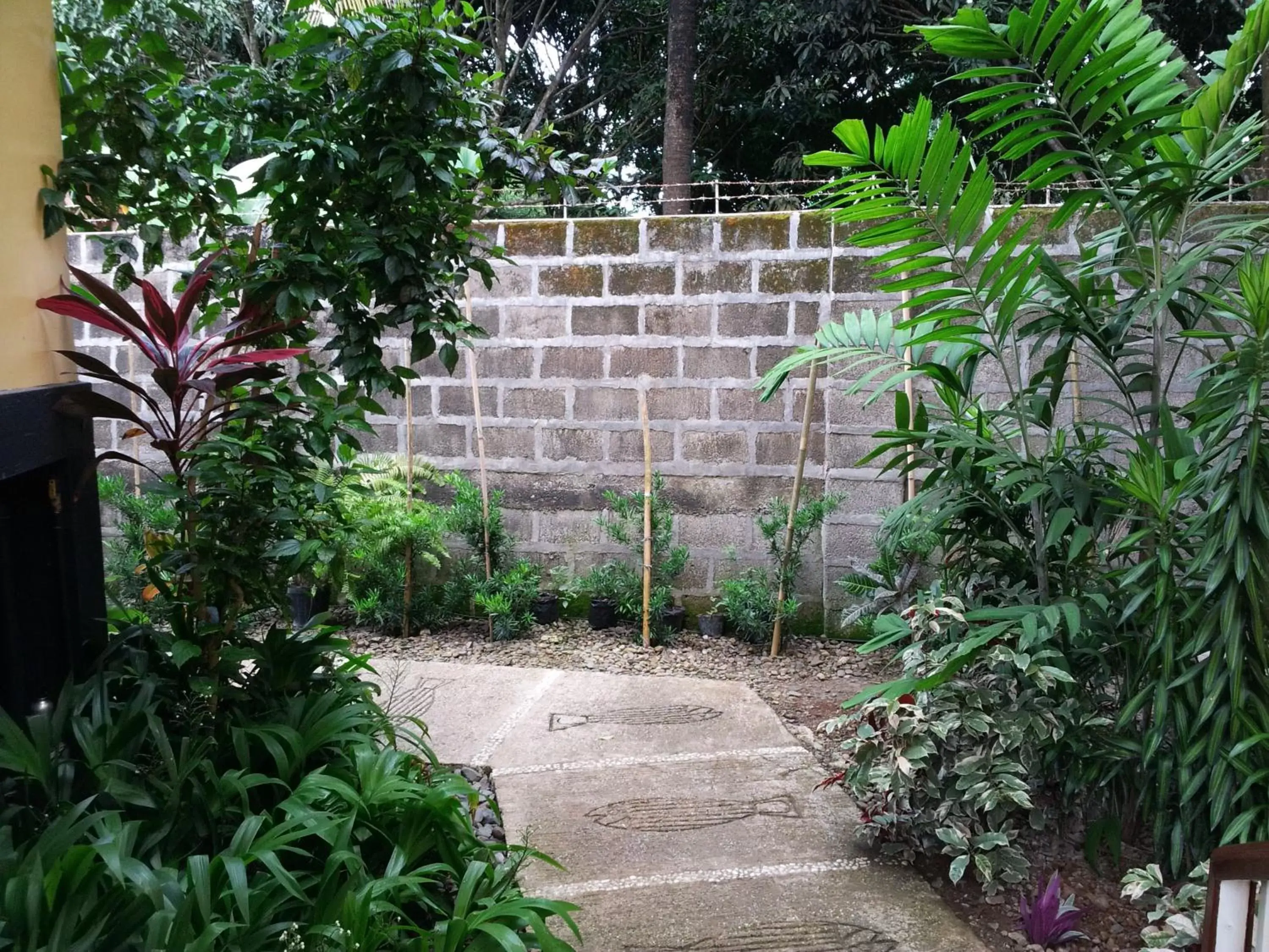 Garden view in Blue Lagoon Inn & Suites