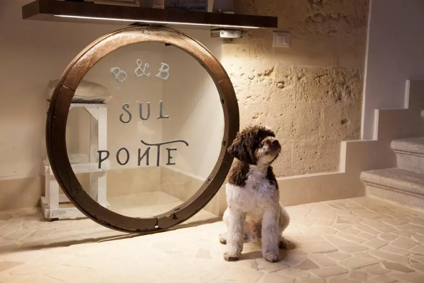 Pets in B&B Sul Ponte