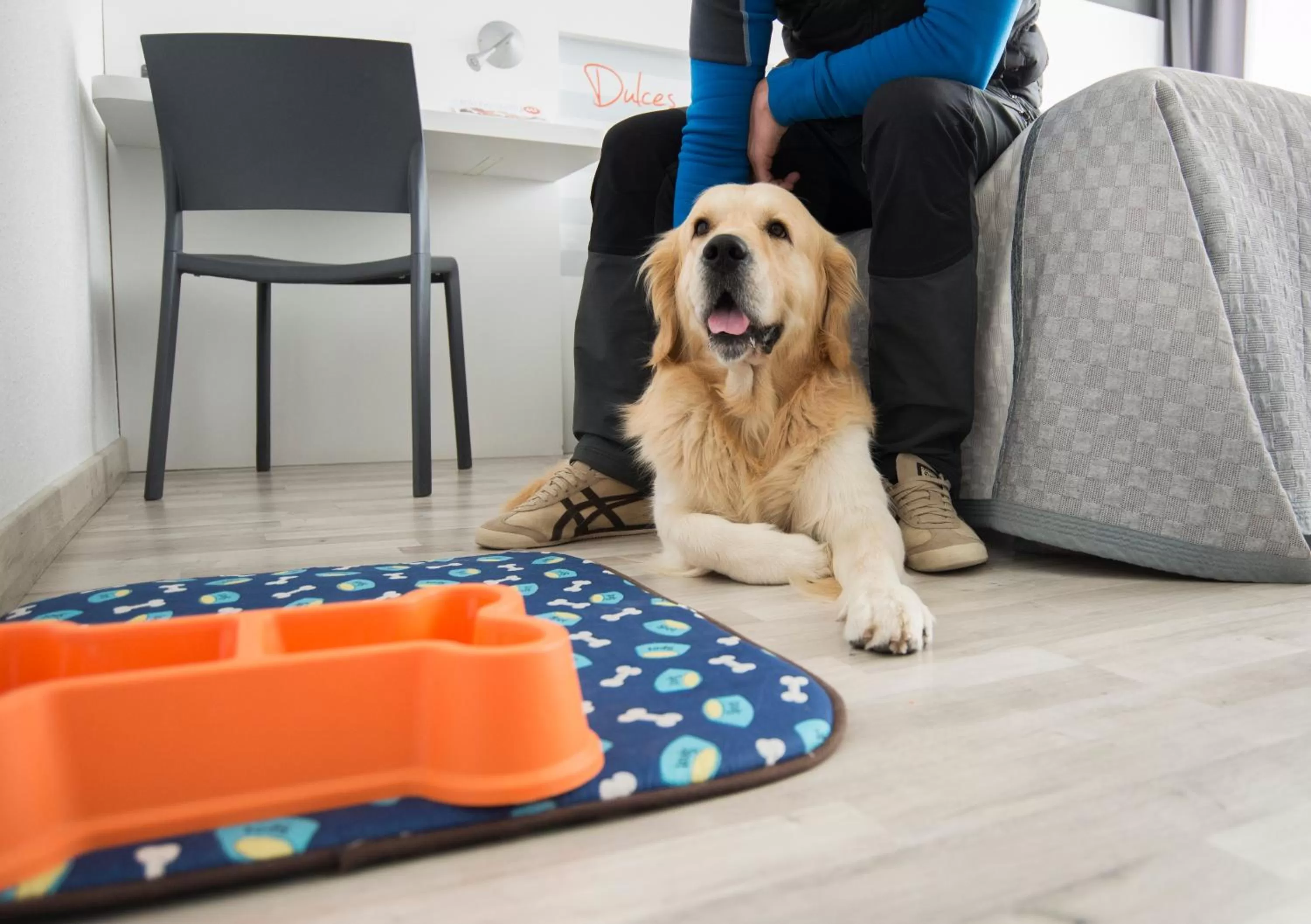 Pets in Hotel Luze El Villa