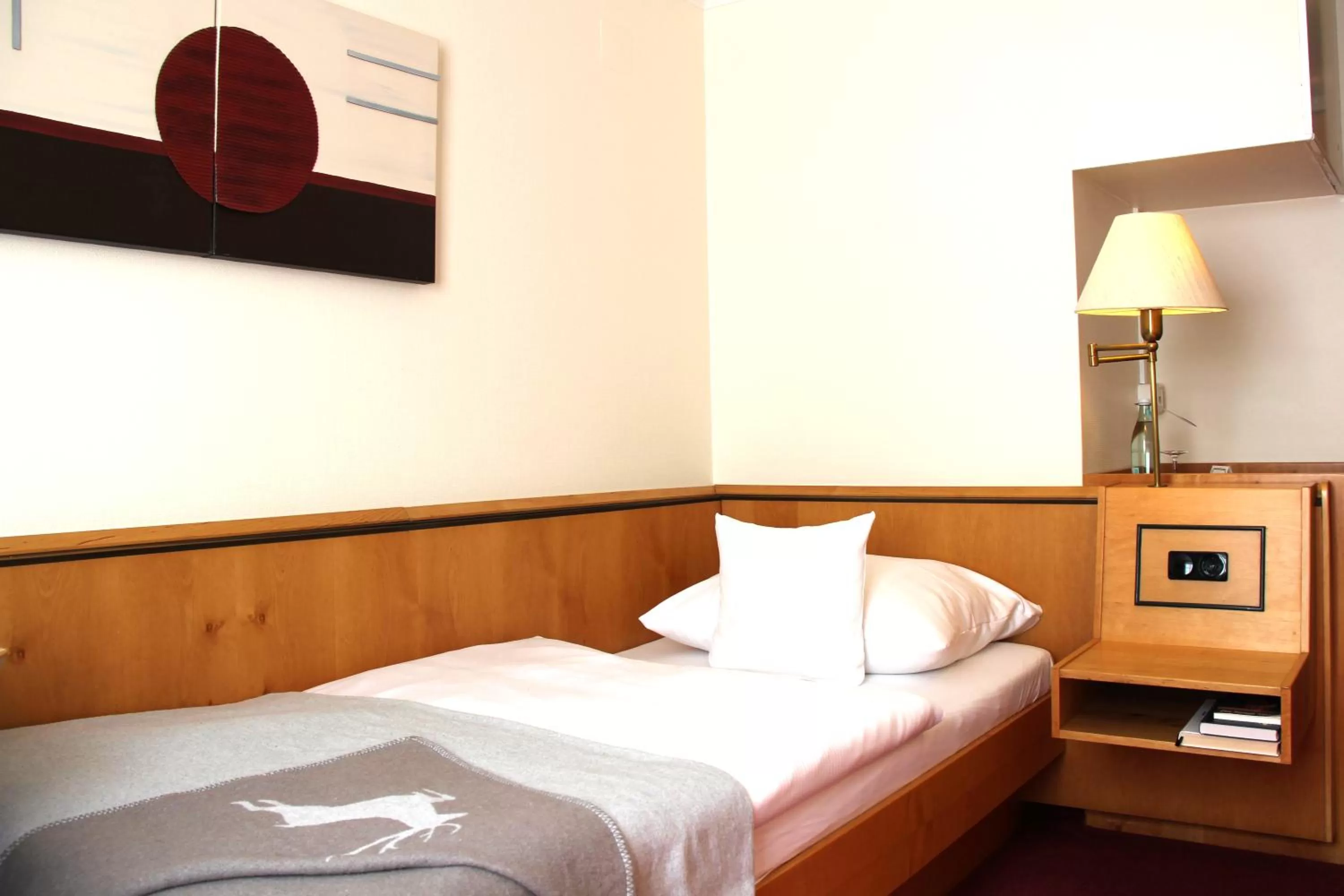 Standard Single Room in Hotel Riezler Hof