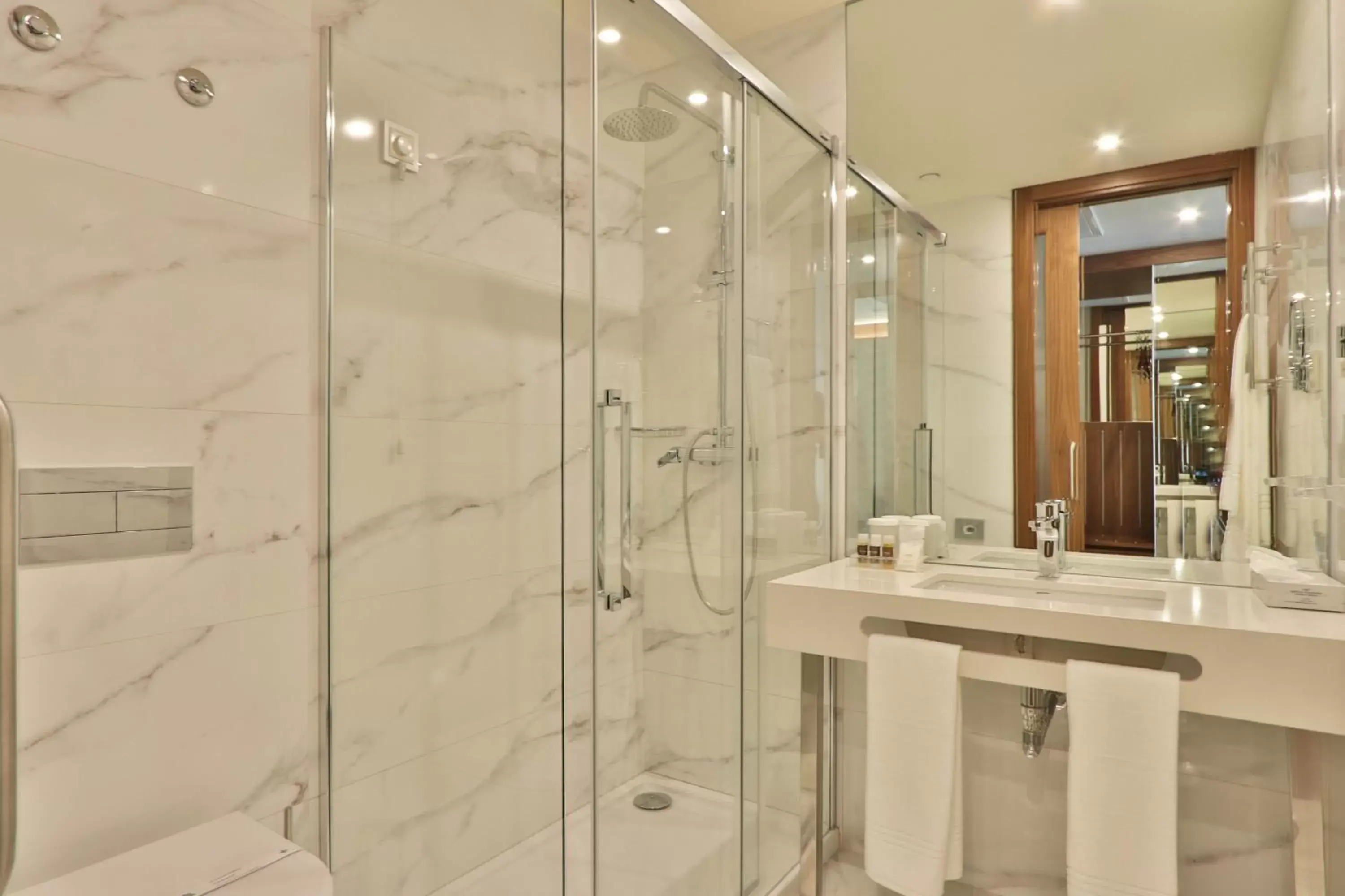 Shower, Bathroom in TURIM Iberia Hotel
