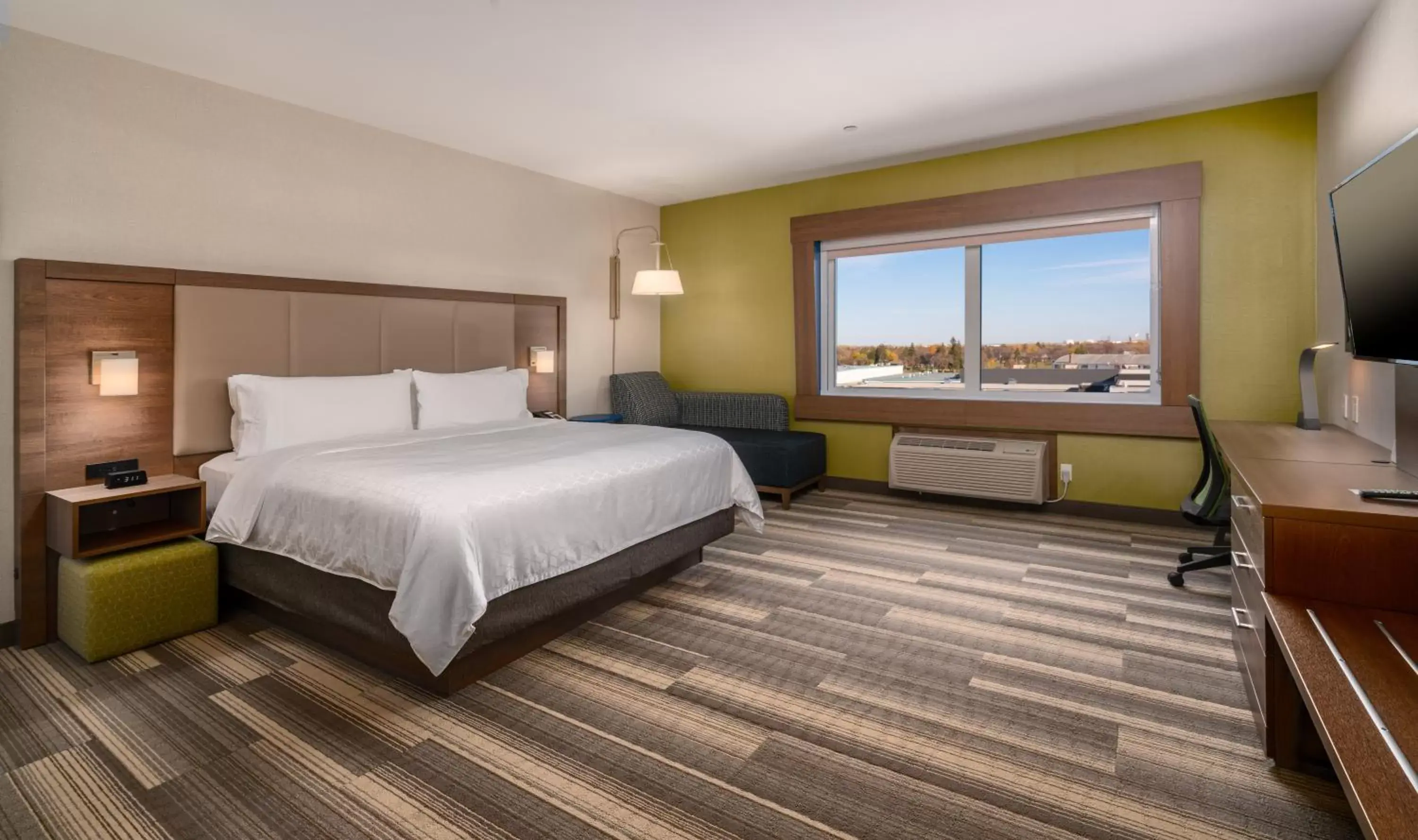 Photo of the whole room, Bed in Holiday Inn Express & Suites - Brandon, an IHG Hotel