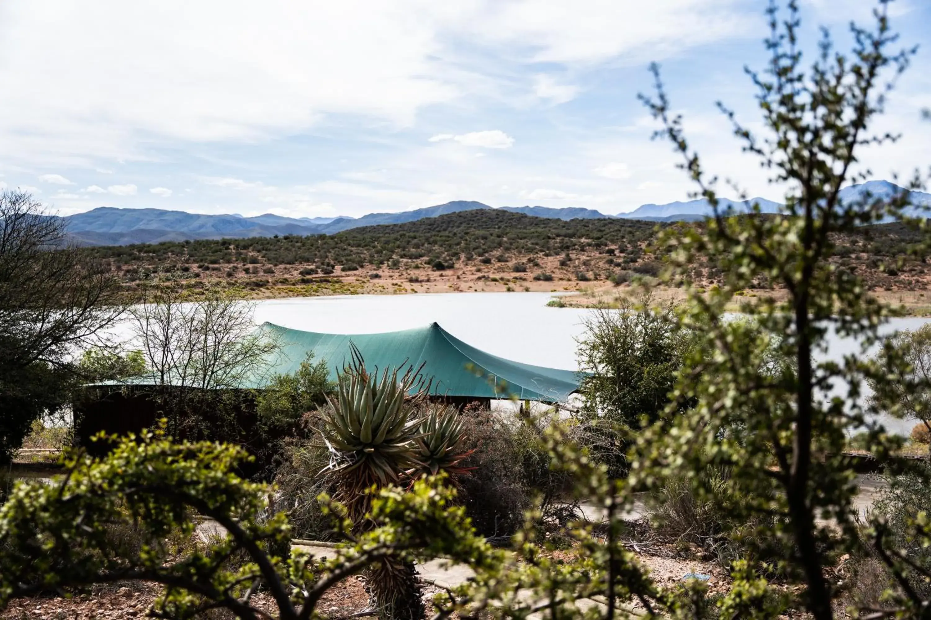 View (from property/room) in Buffelsdrift Game Lodge