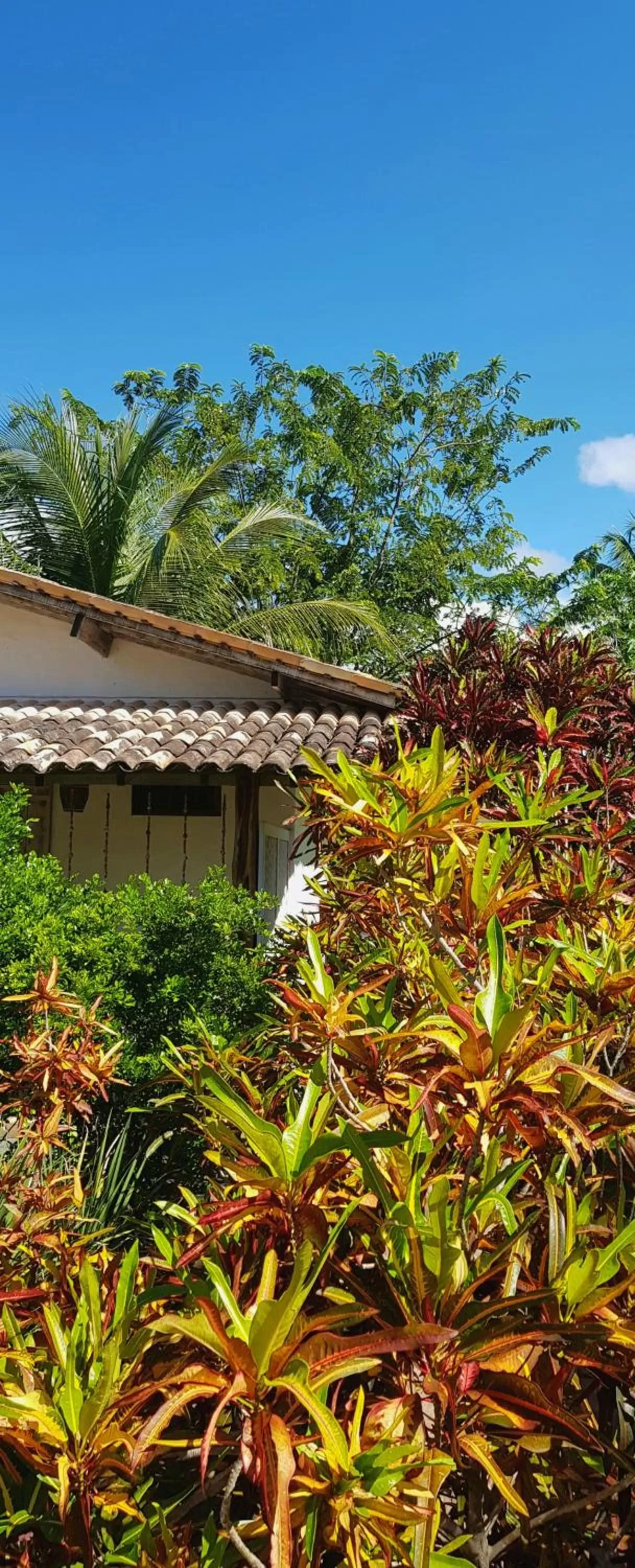 Garden in Pousada Villages Boutique Hotel - 150m da Praia da Laje