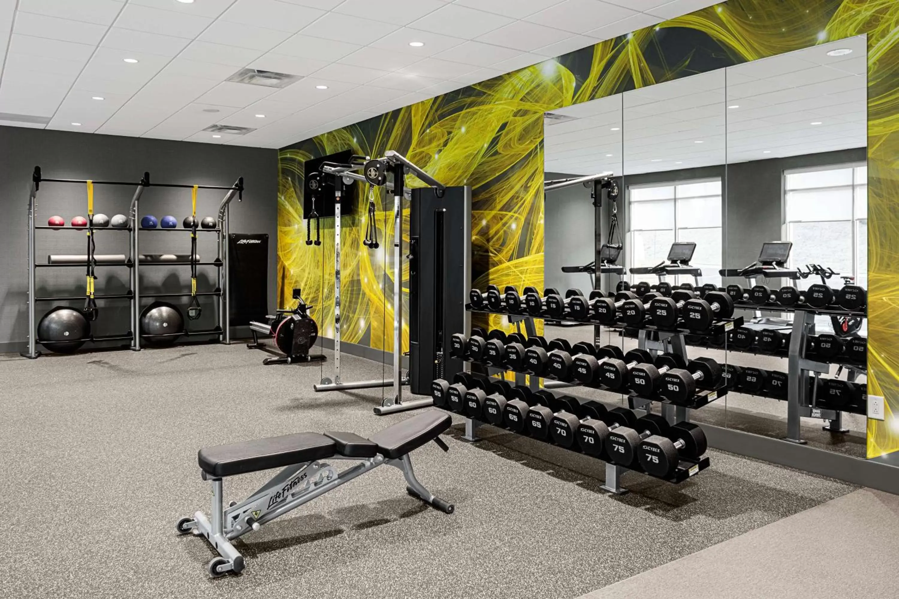 Fitness centre/facilities, Fitness Center/Facilities in Tru By Hilton Mt. Juliet, TN