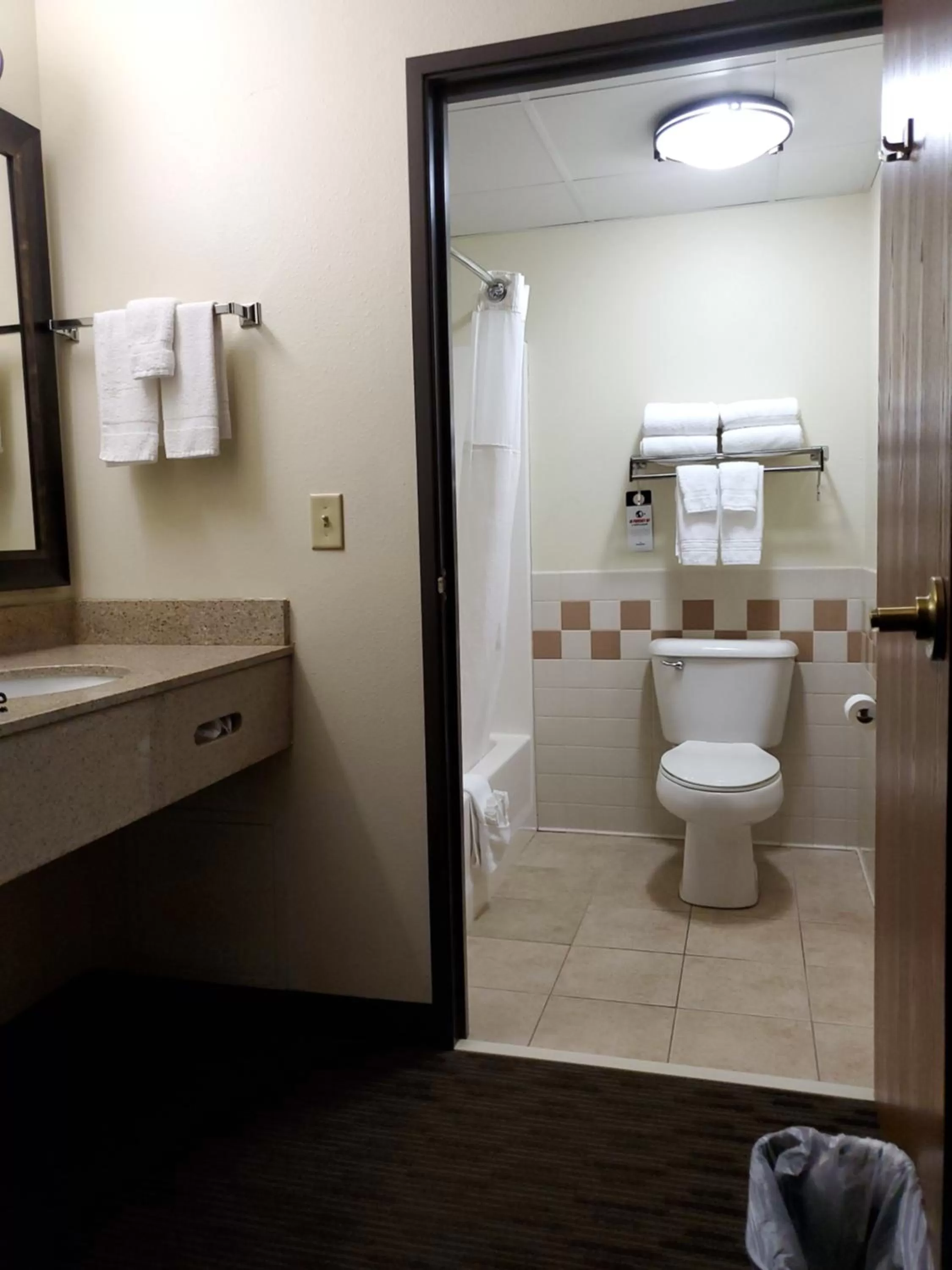 Bathroom in AmericInn by Wyndham Thief River Falls