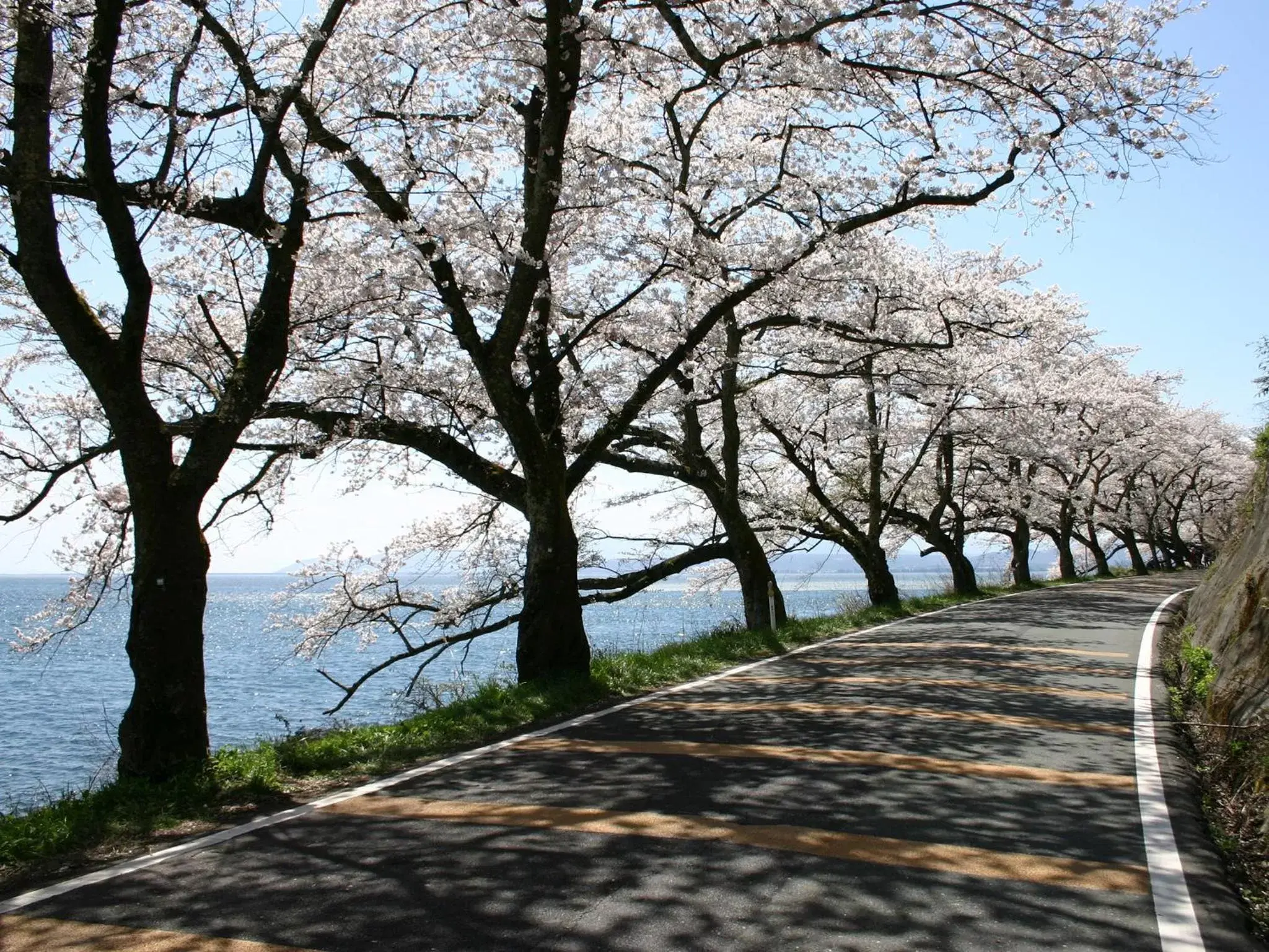 Natural landscape, Winter in Lake Biwa Otsu Prince Hotel