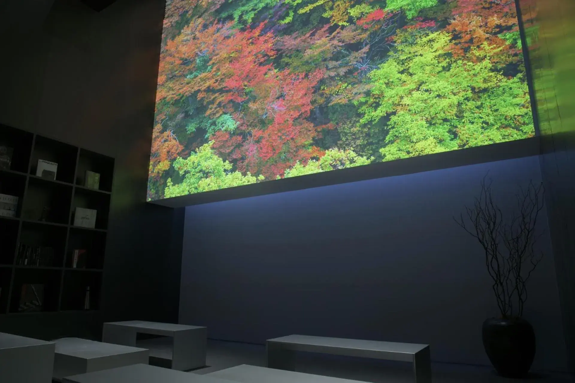 Lounge or bar in MOGANA Lounge or bar in MOGANA